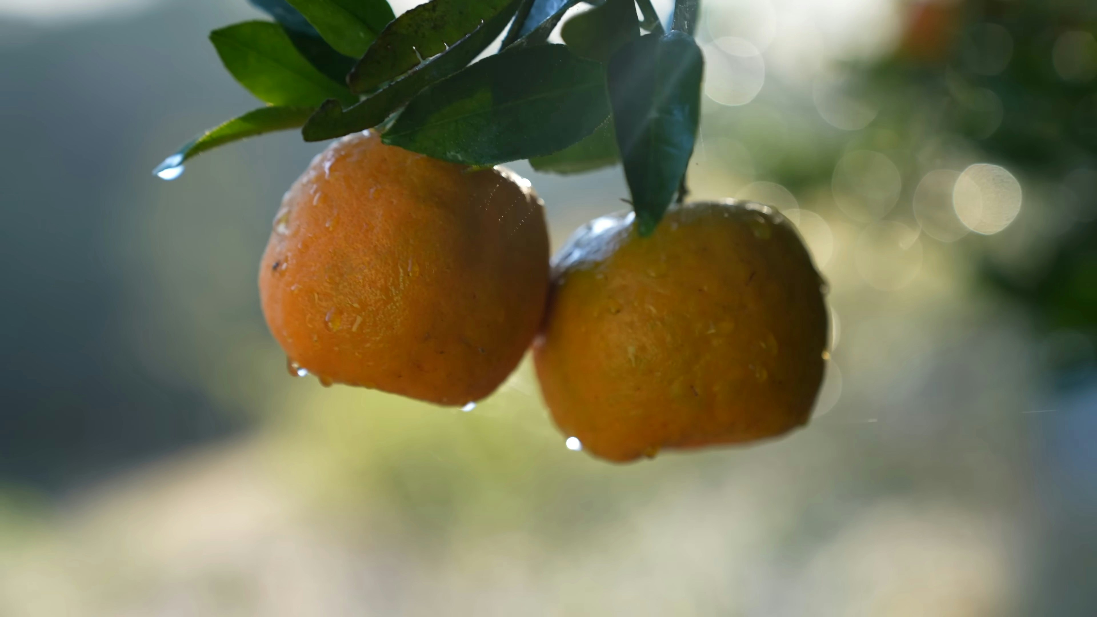 Photo by vinanditakarinanabilla