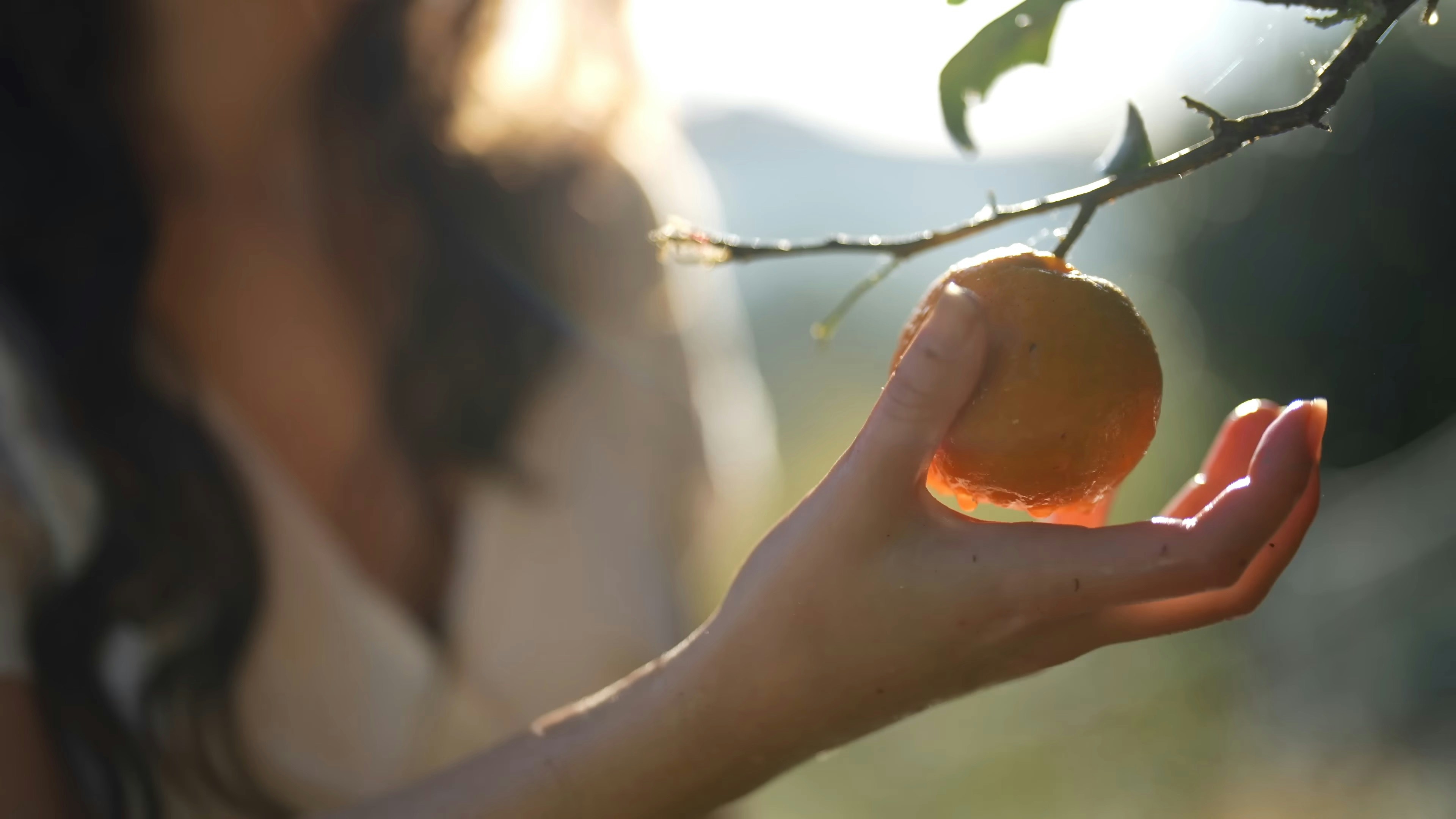 Photo by vinanditakarinanabilla