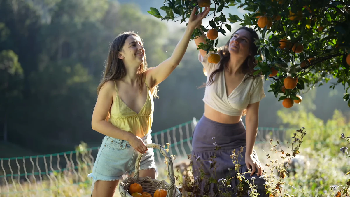 一家人在果园里采摘水果