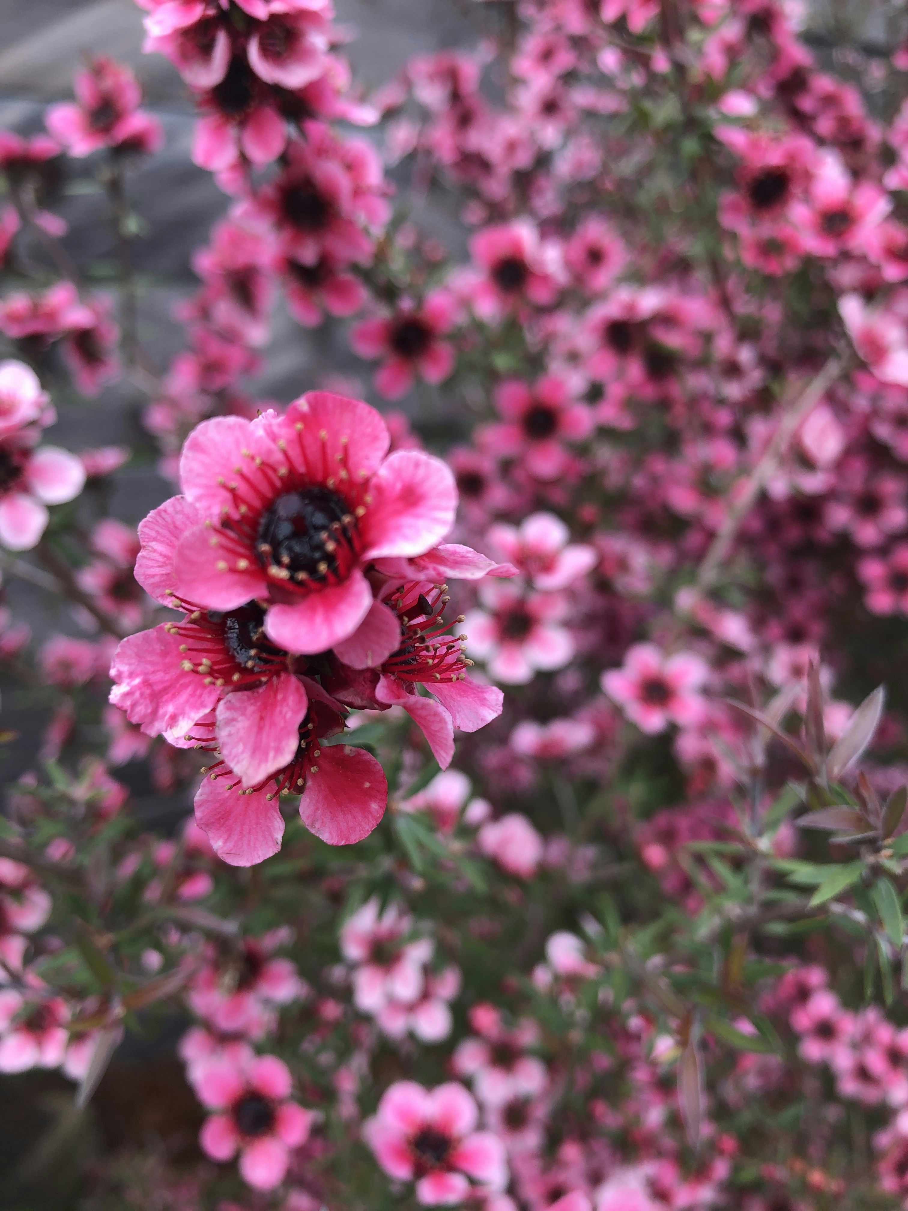 Photo by rfisher2121