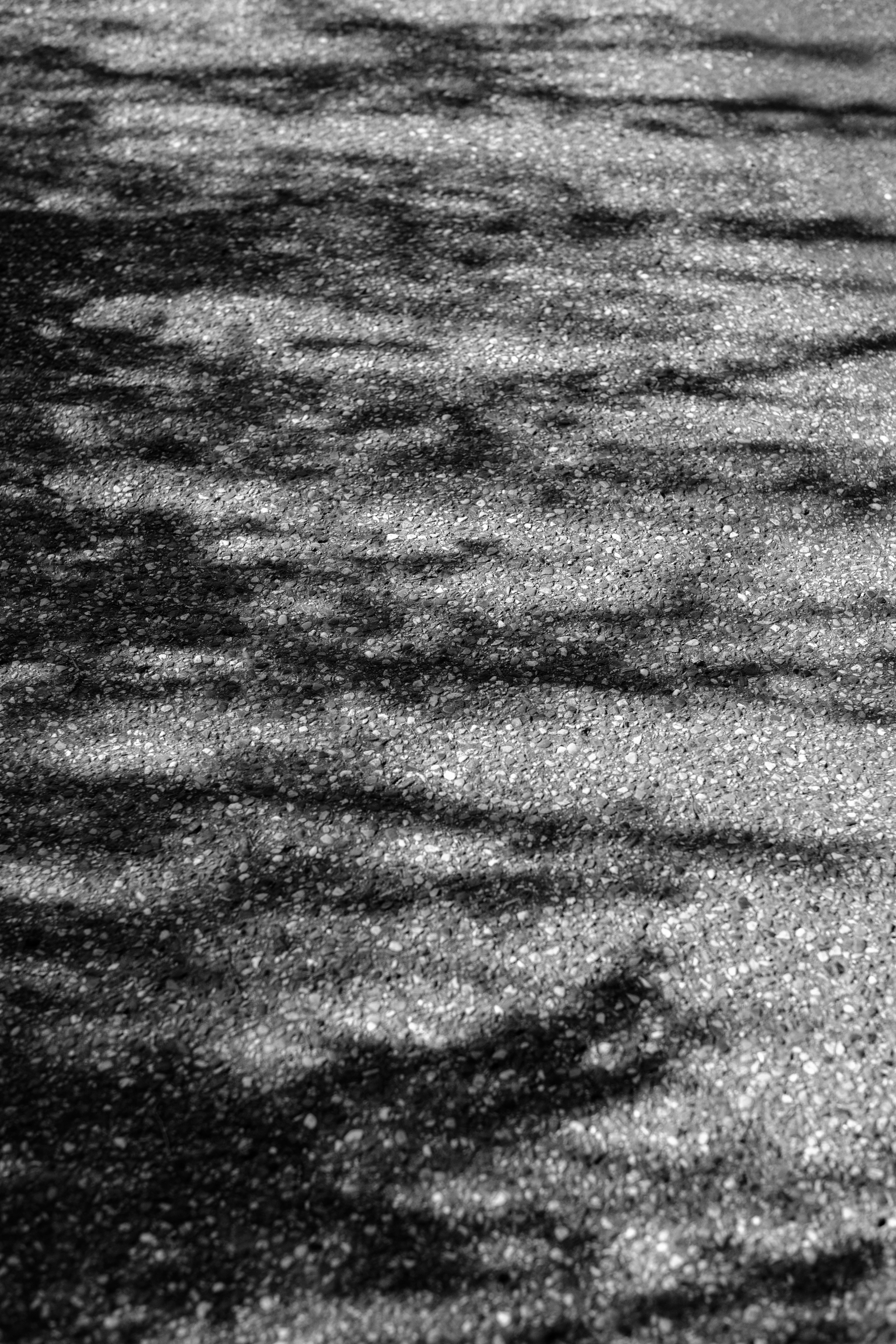 Photo by haberdoedas