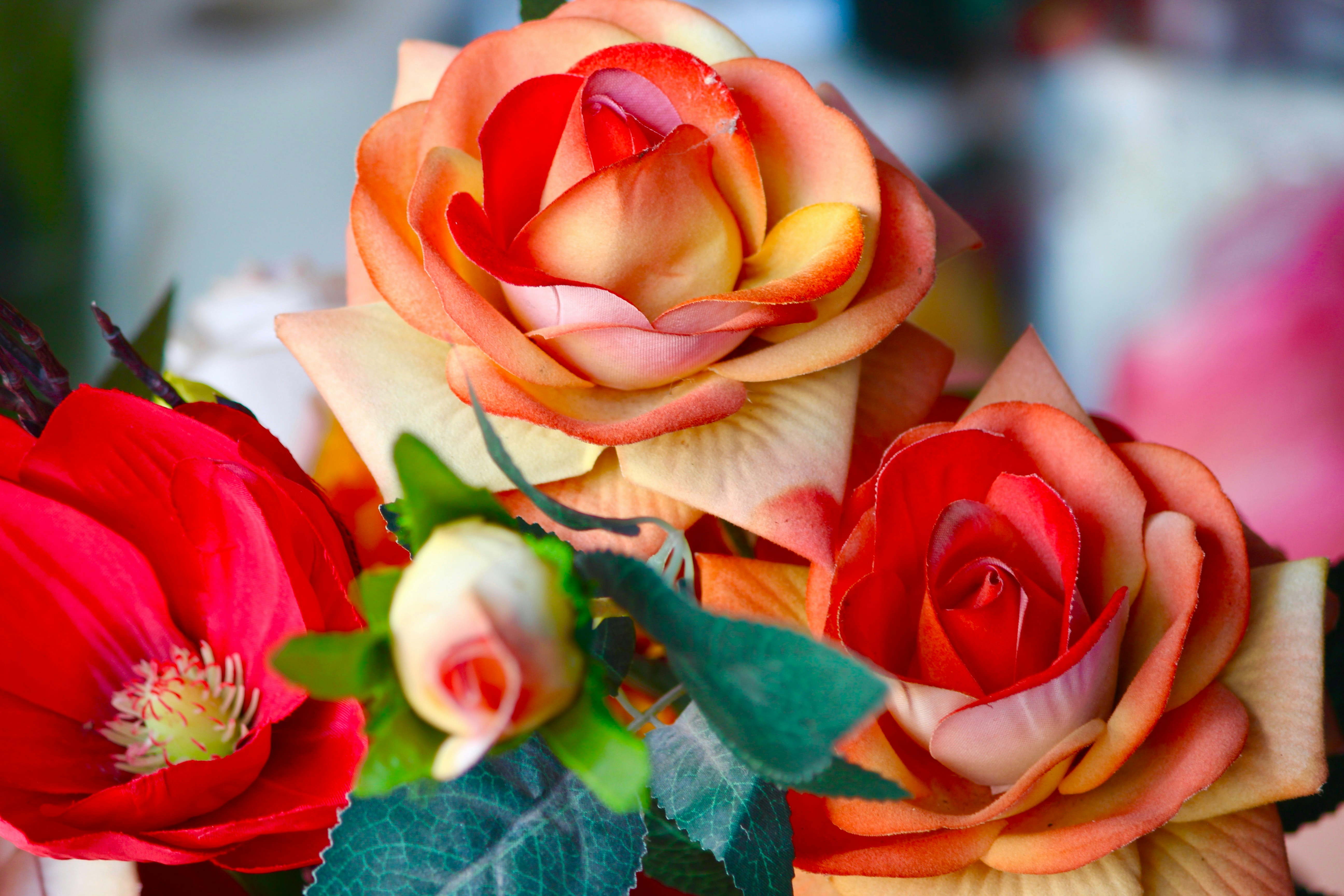 Photo by fotografialuivlad