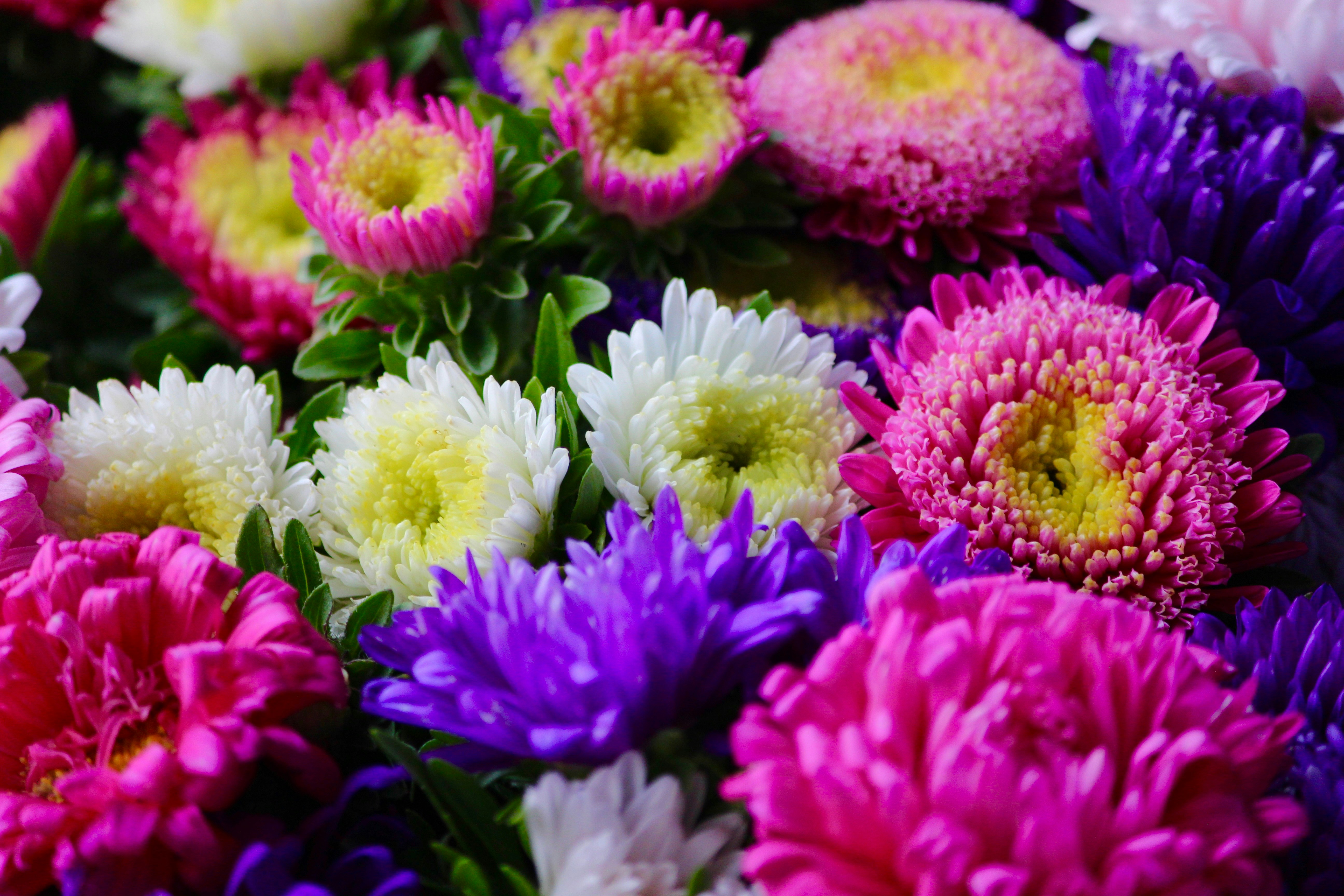 Photo by fotografialuivlad