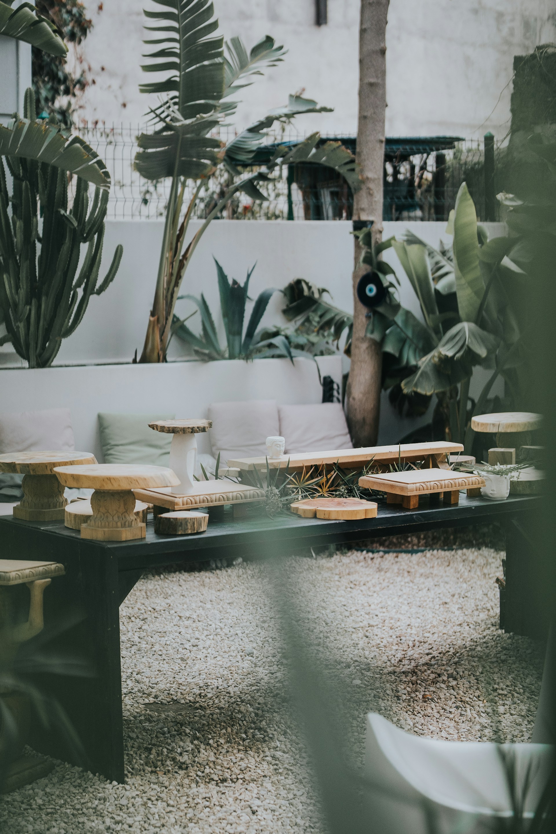 A living room filled with lots of plants and furniture