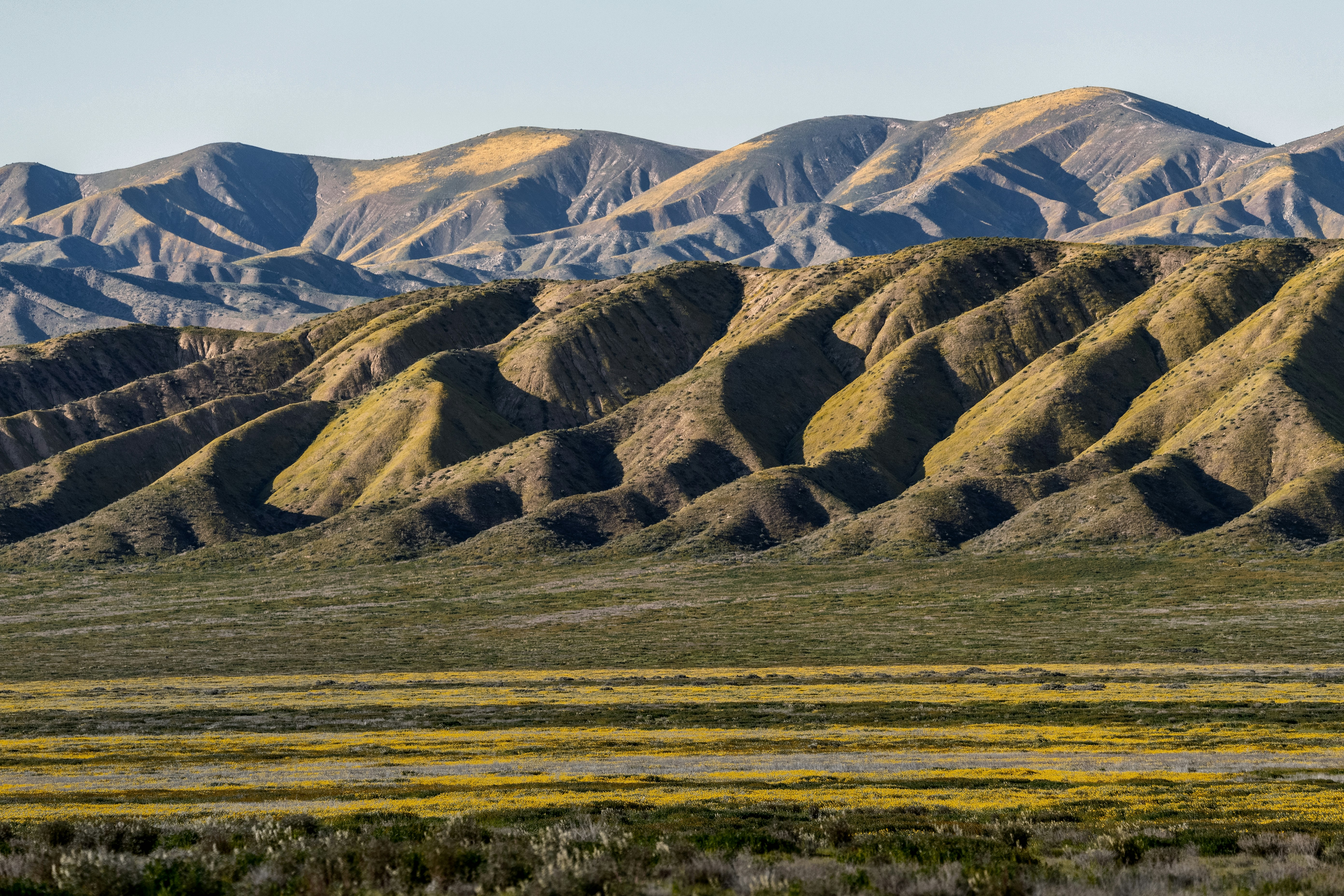 Photo by timmossholder