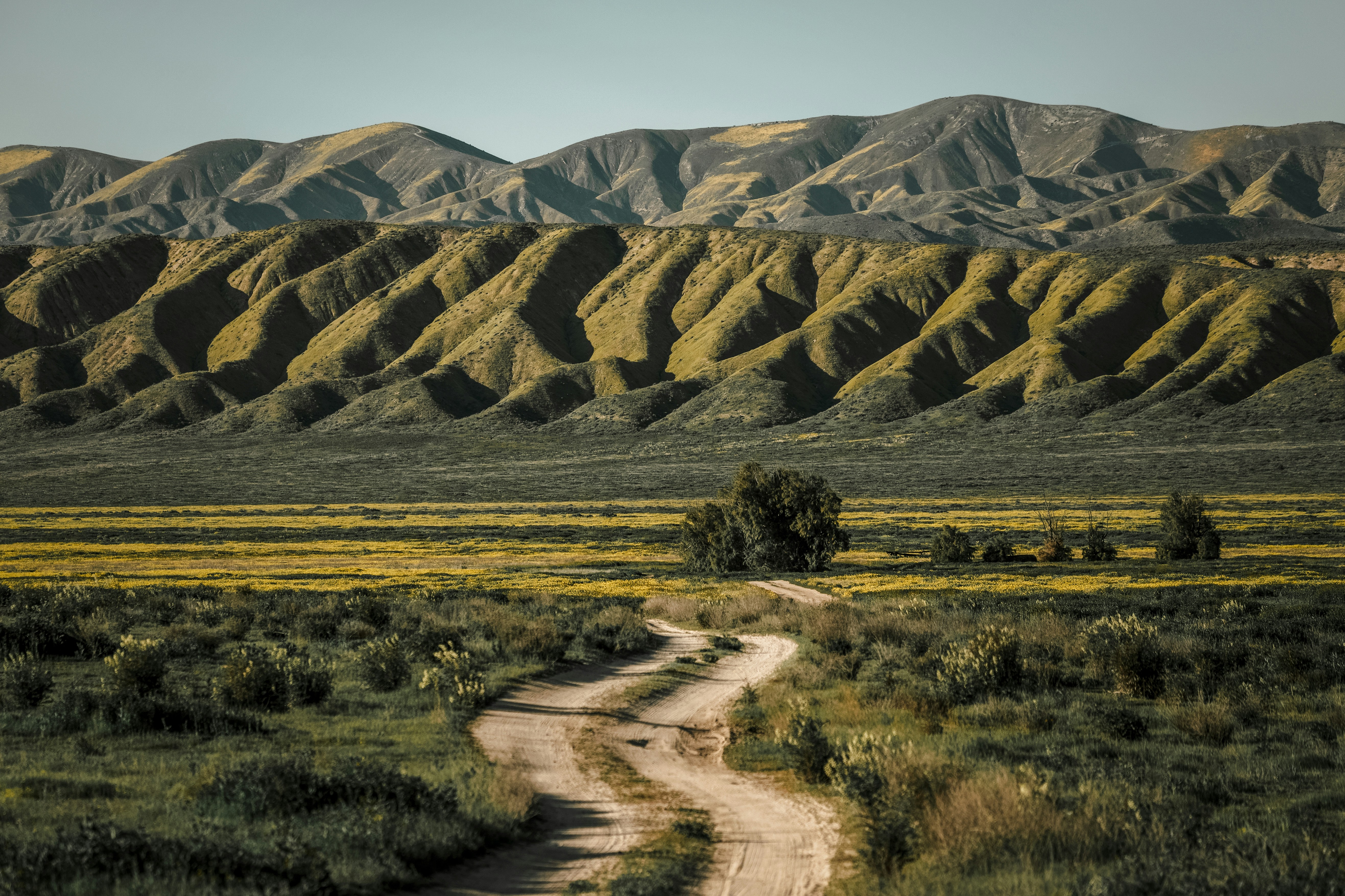 A dirt road with a mountain in the background