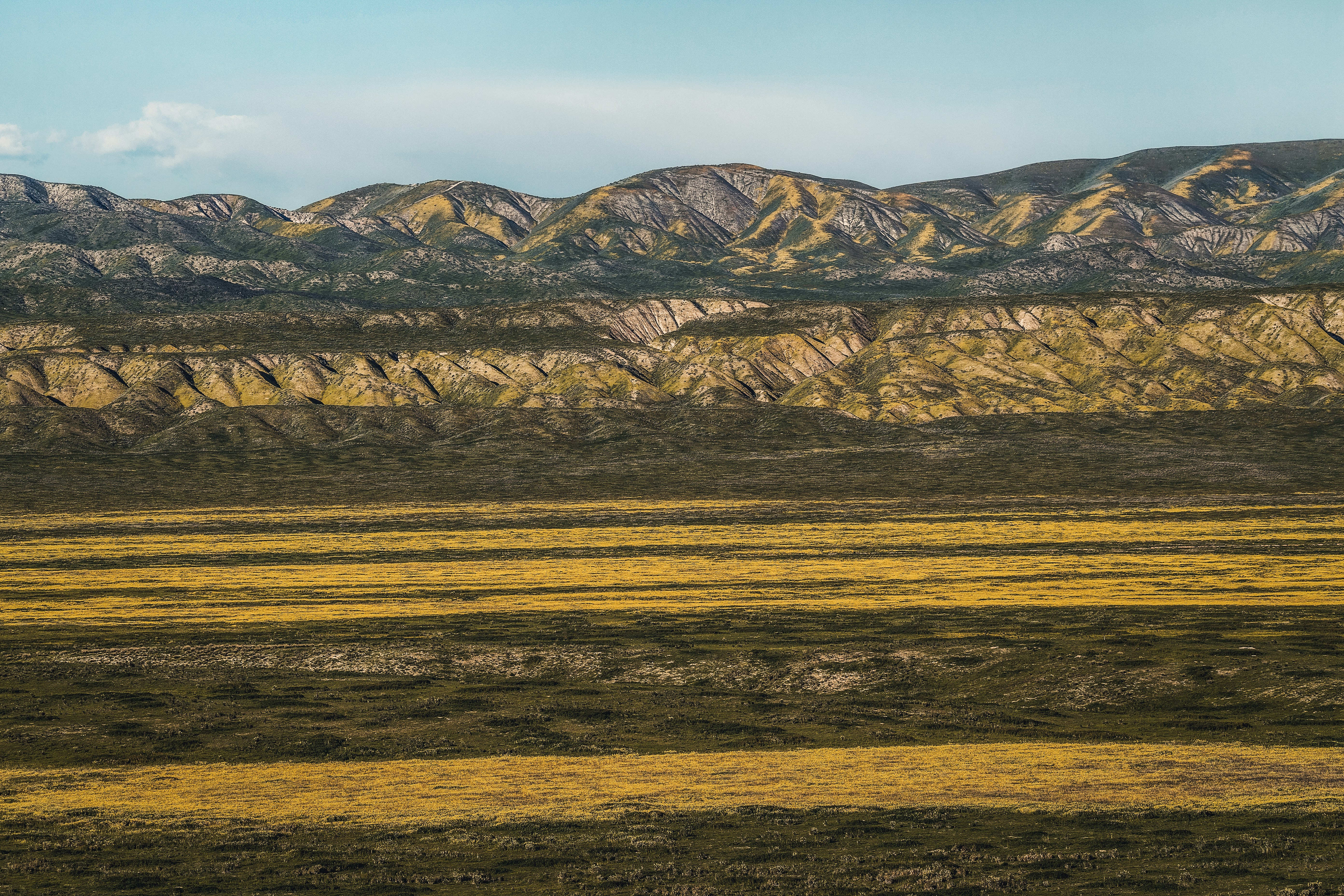 Photo by timmossholder