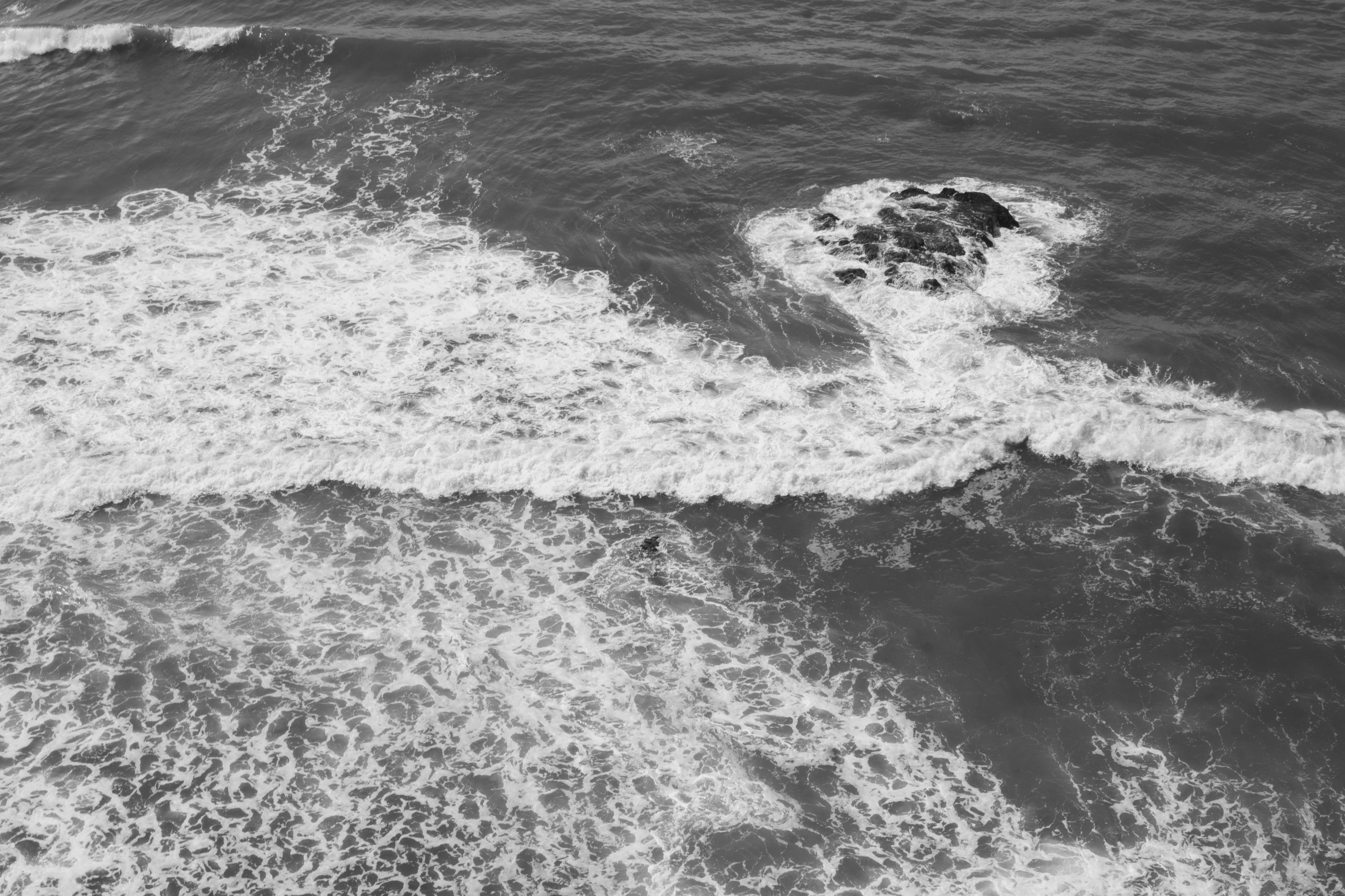 Photo by juandissimo