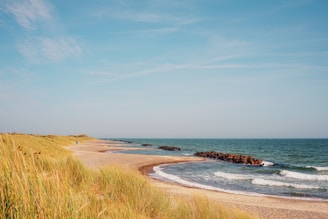 A sandy beach next to the ocean under a blue sky