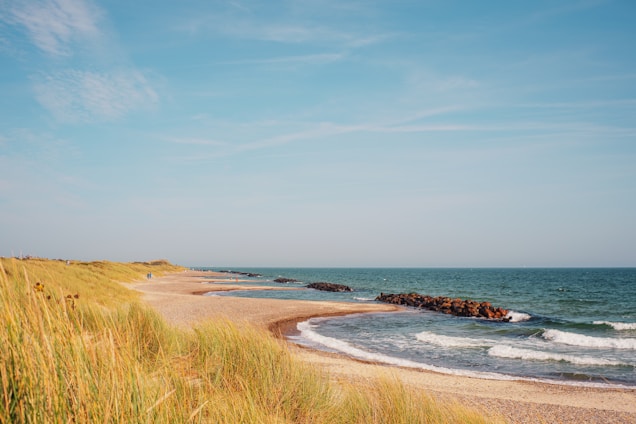 A sandy beach next to the ocean under a blue sky