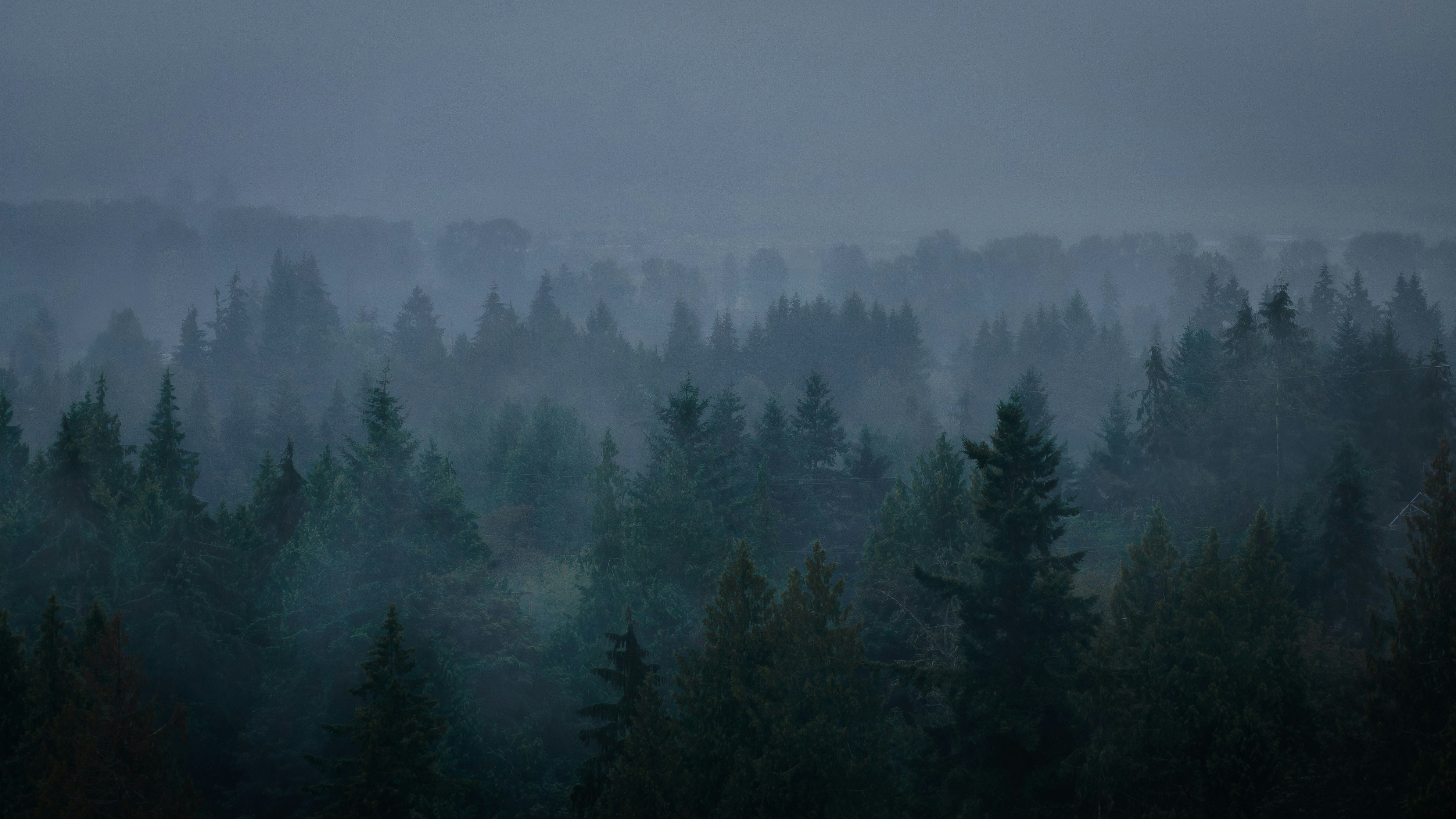 Photo by windowseatphotography