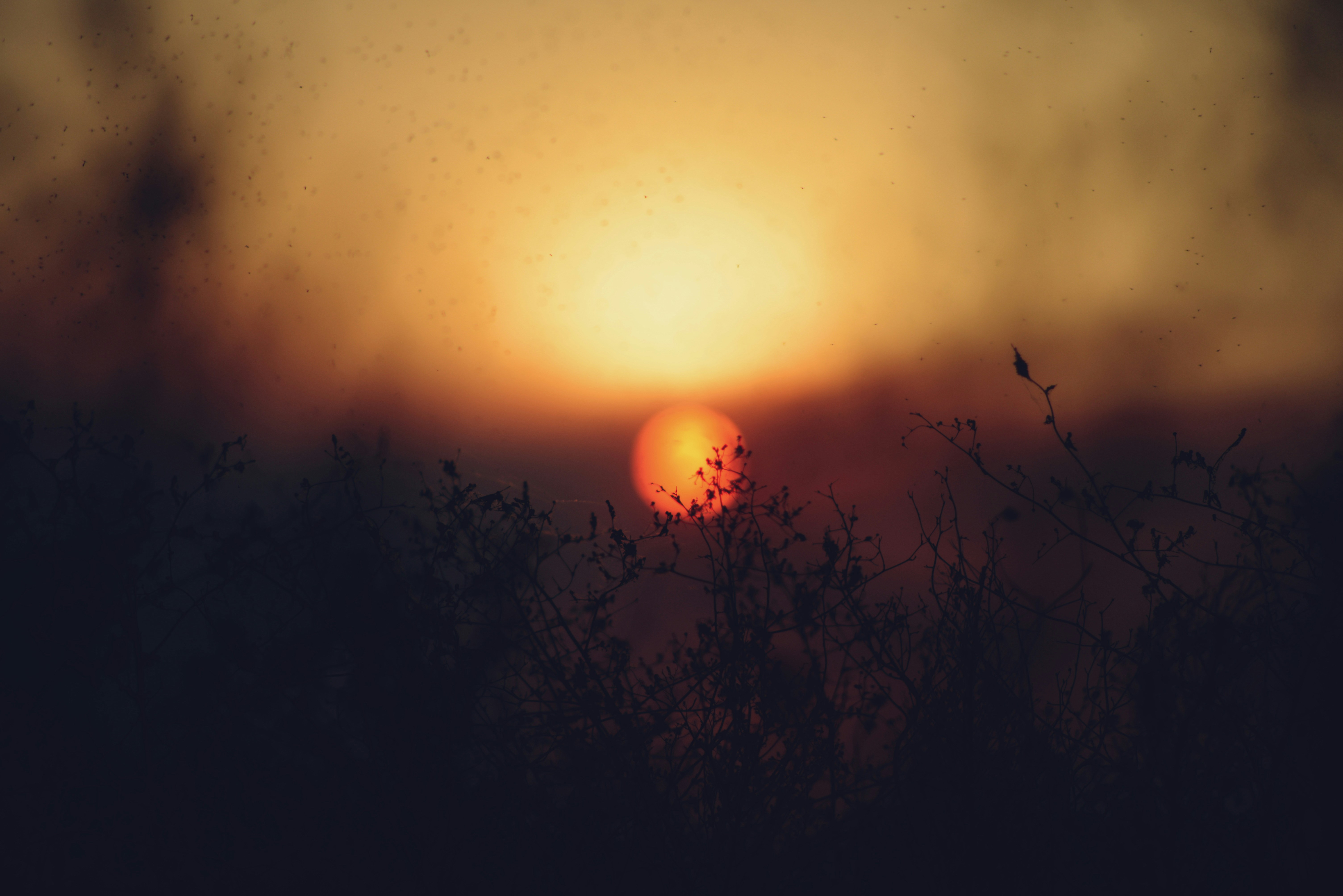 Photo by cherstve_pechivo