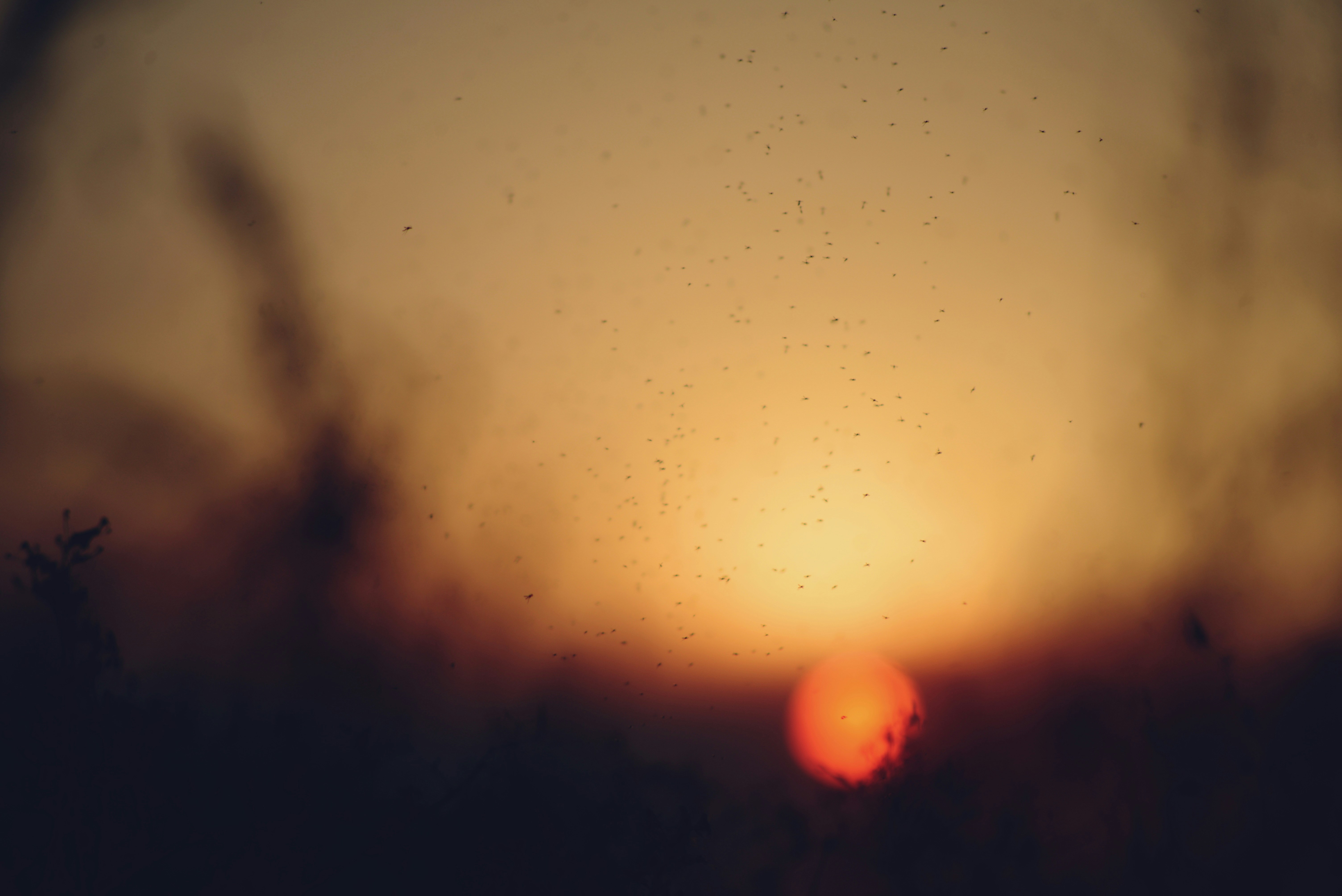 Photo by cherstve_pechivo