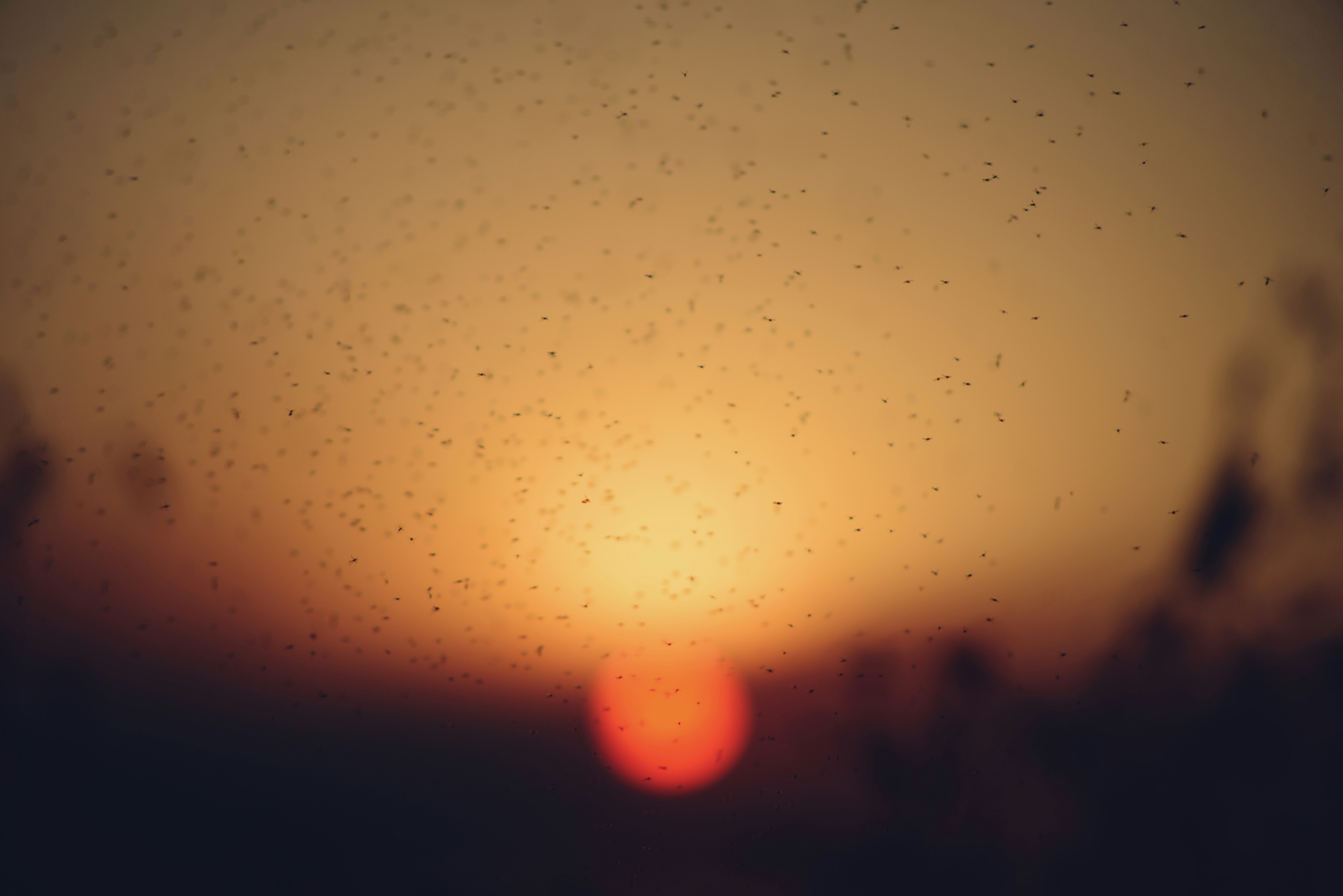 Photo by cherstve_pechivo