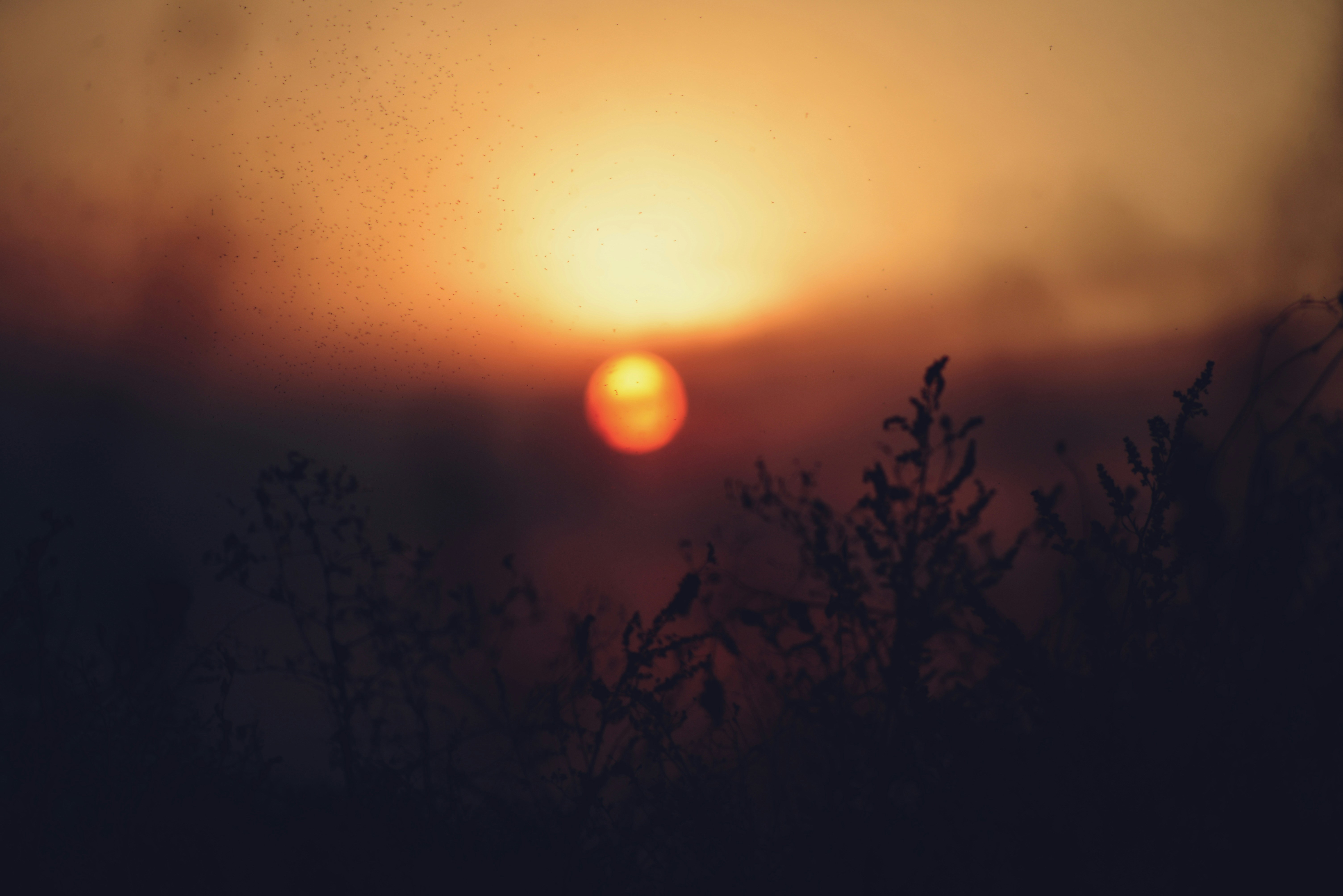 Photo by cherstve_pechivo