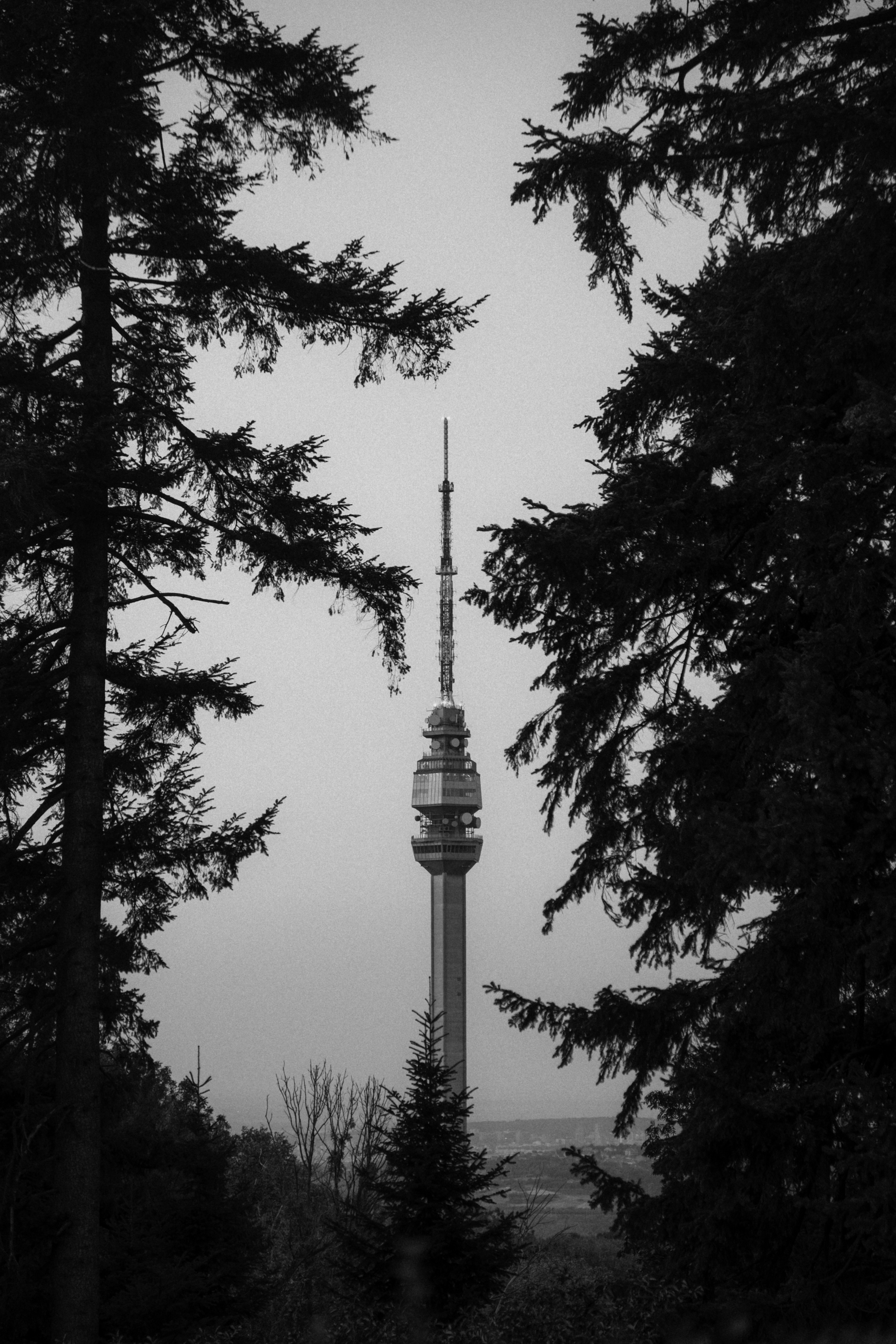 Photo by marishphoto