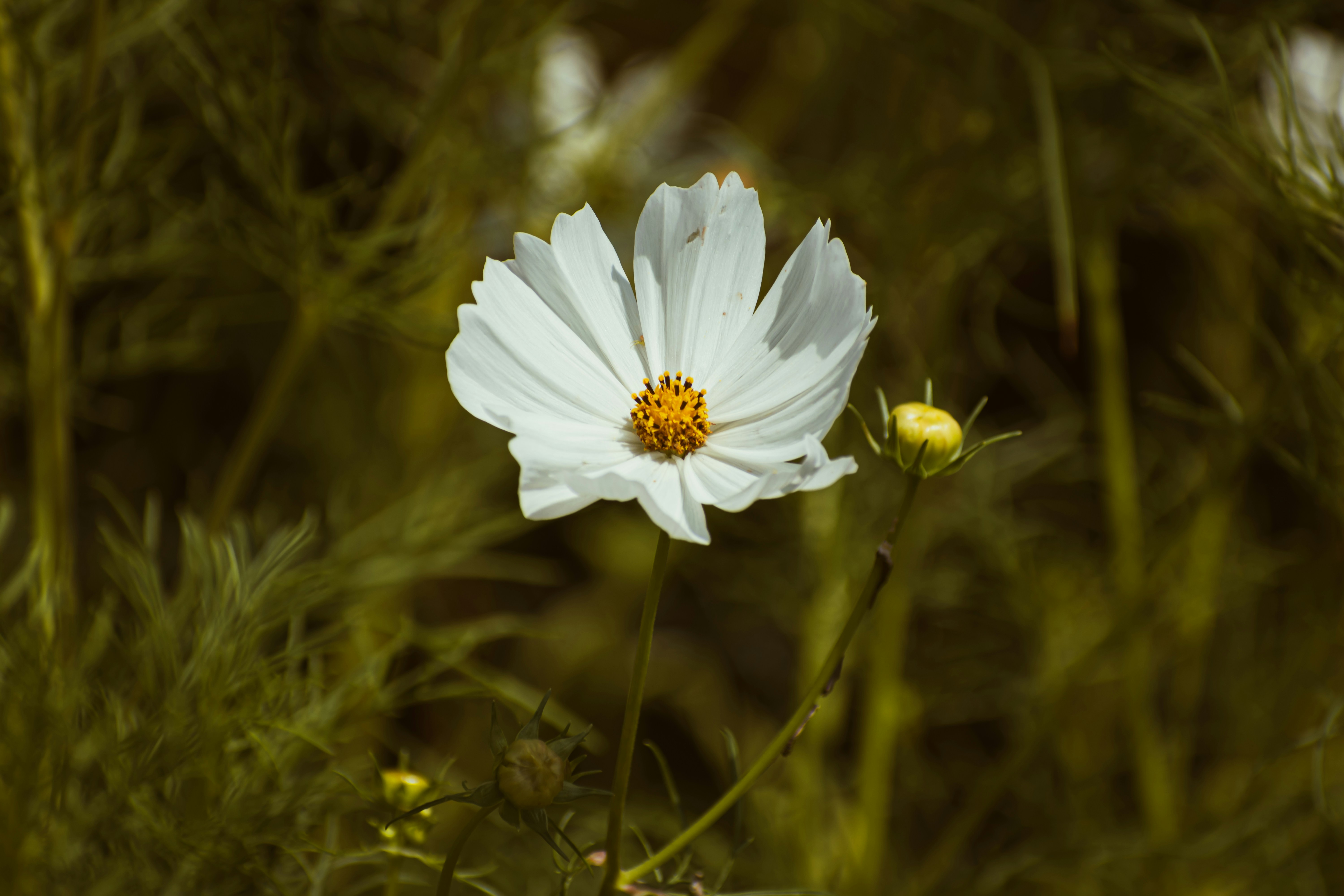 Photo by niki_emmert