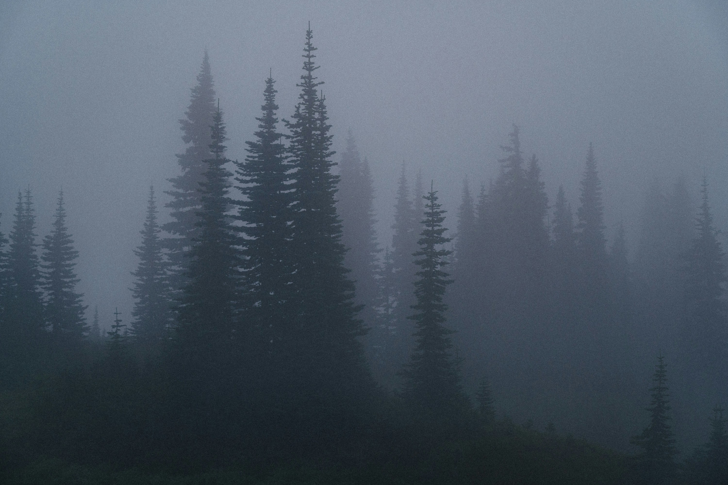 Photo by cedricletsch