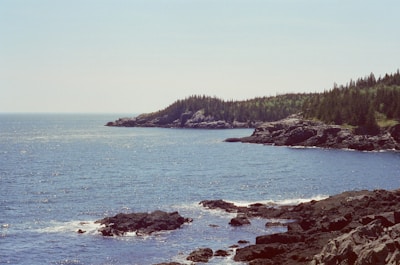A view of a rocky shore with a lighthouse in the distance