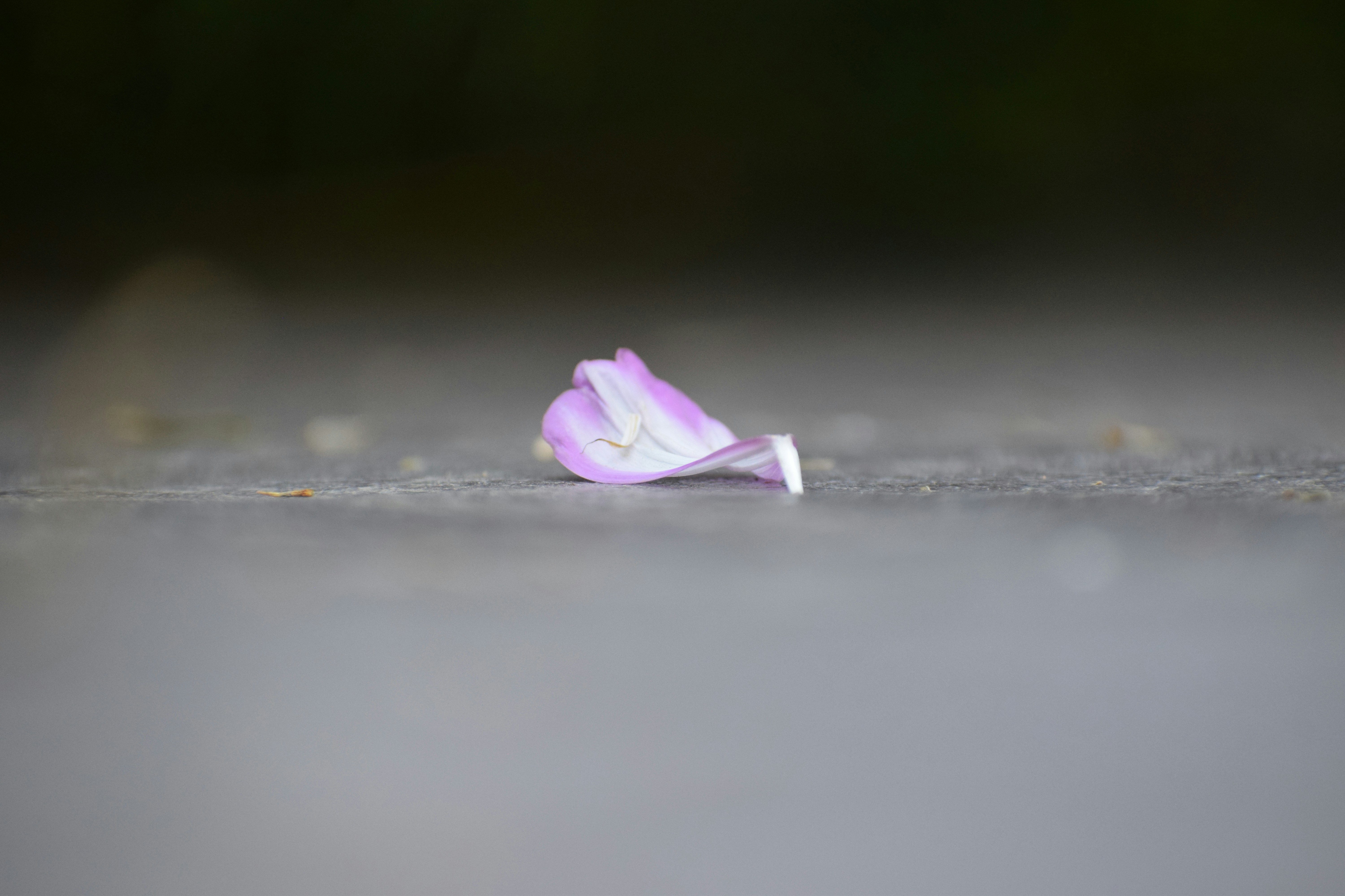 Photo by filming_co2022