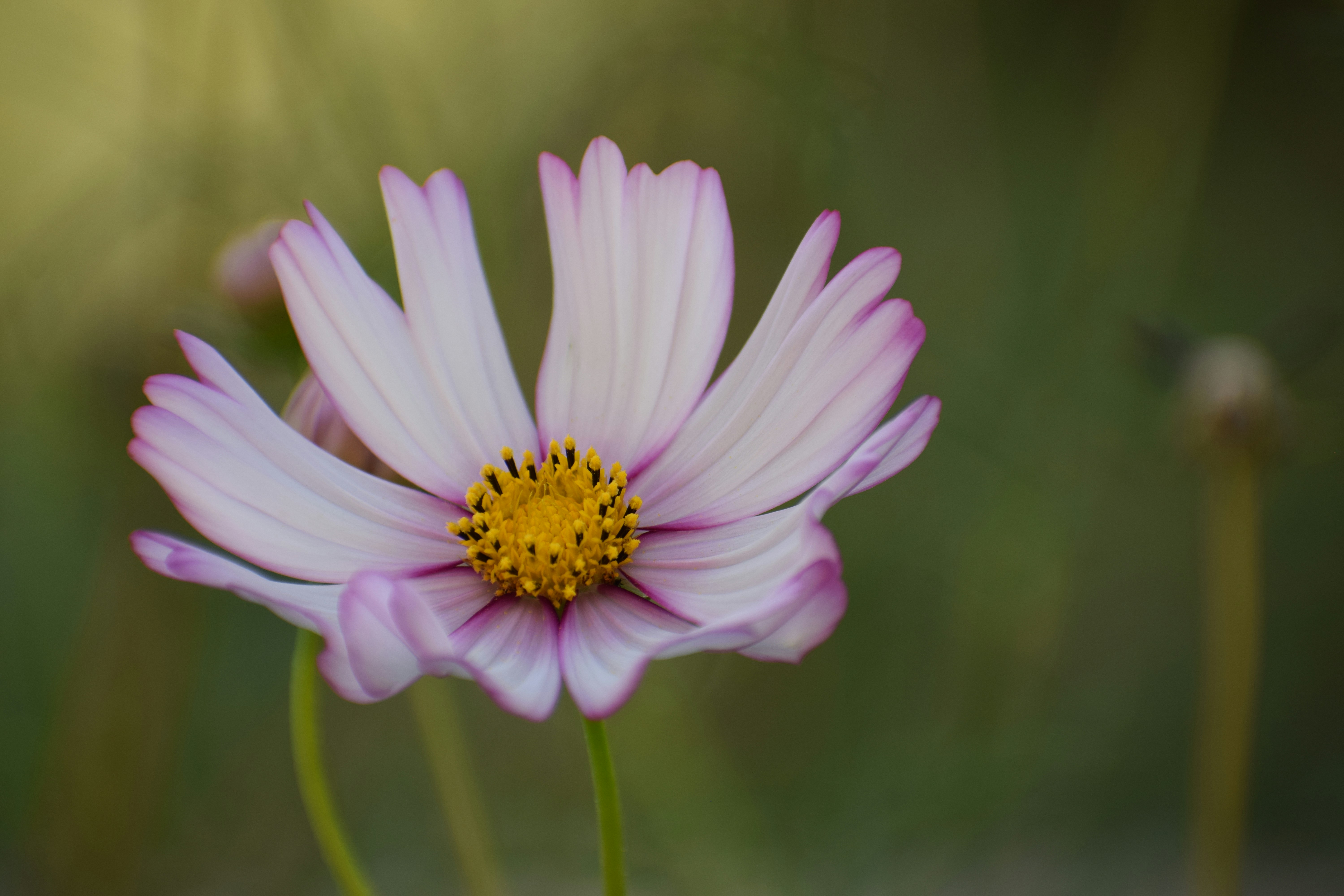 Photo by filming_co2022