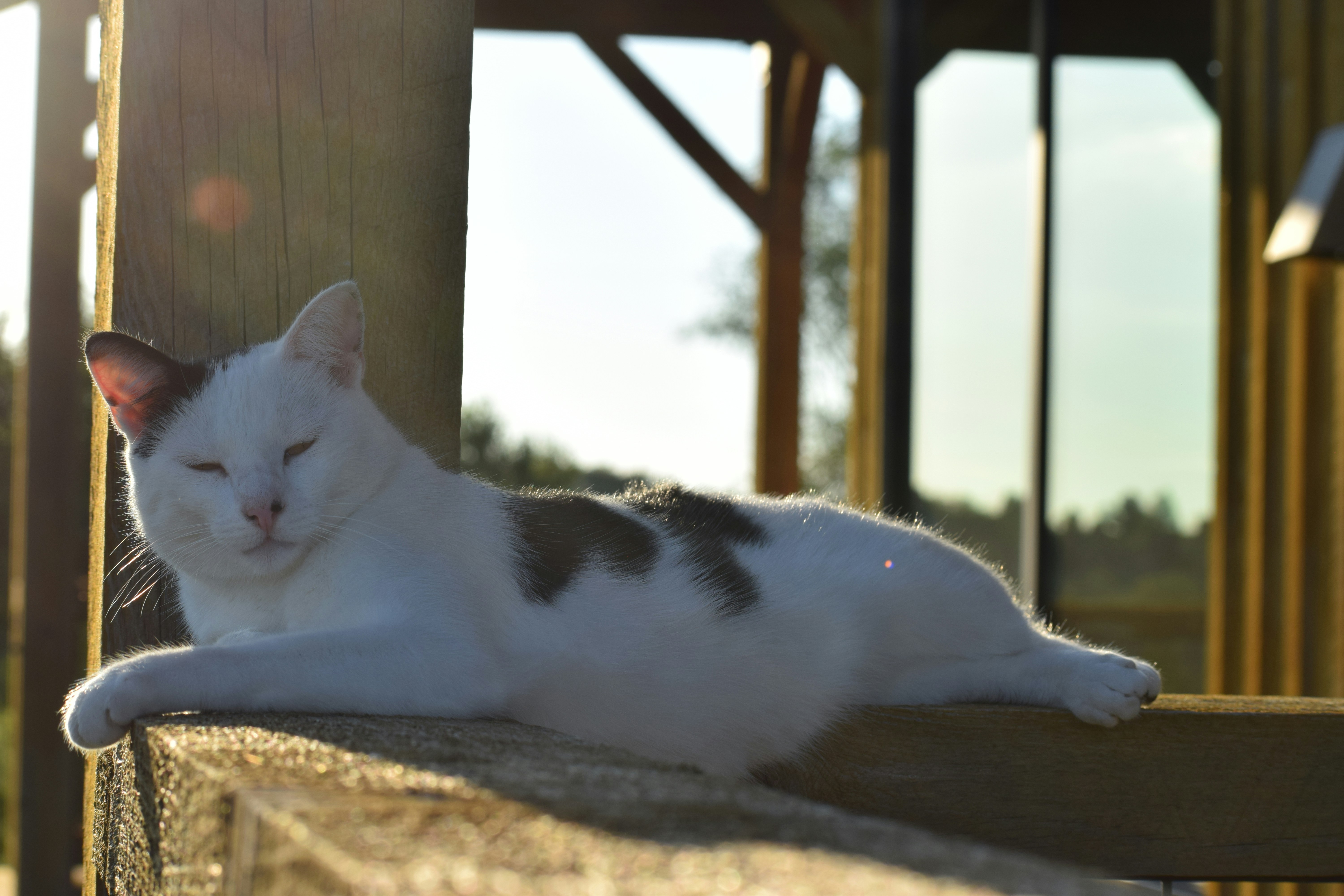 Photo by filming_co2022