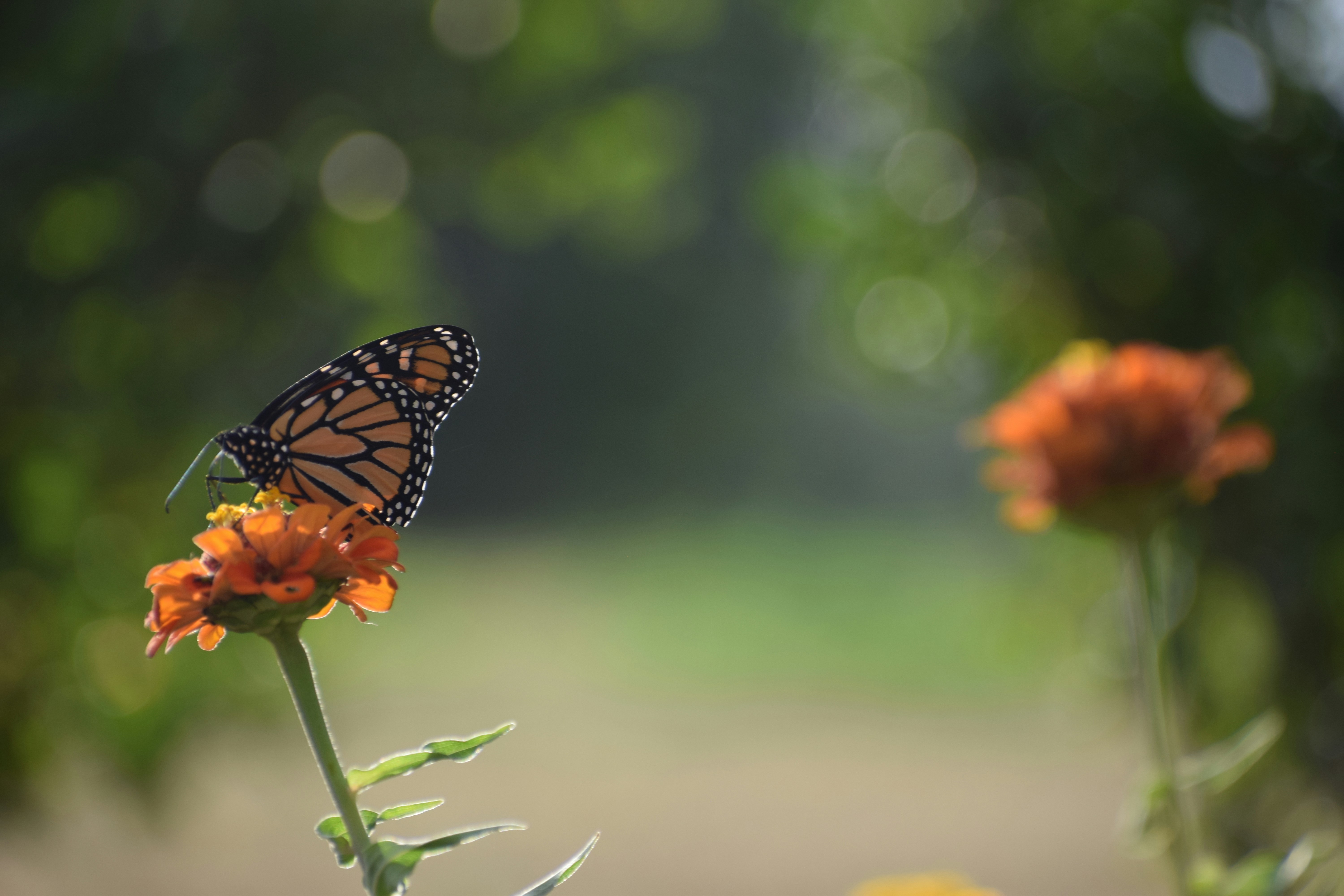 Photo by filming_co2022