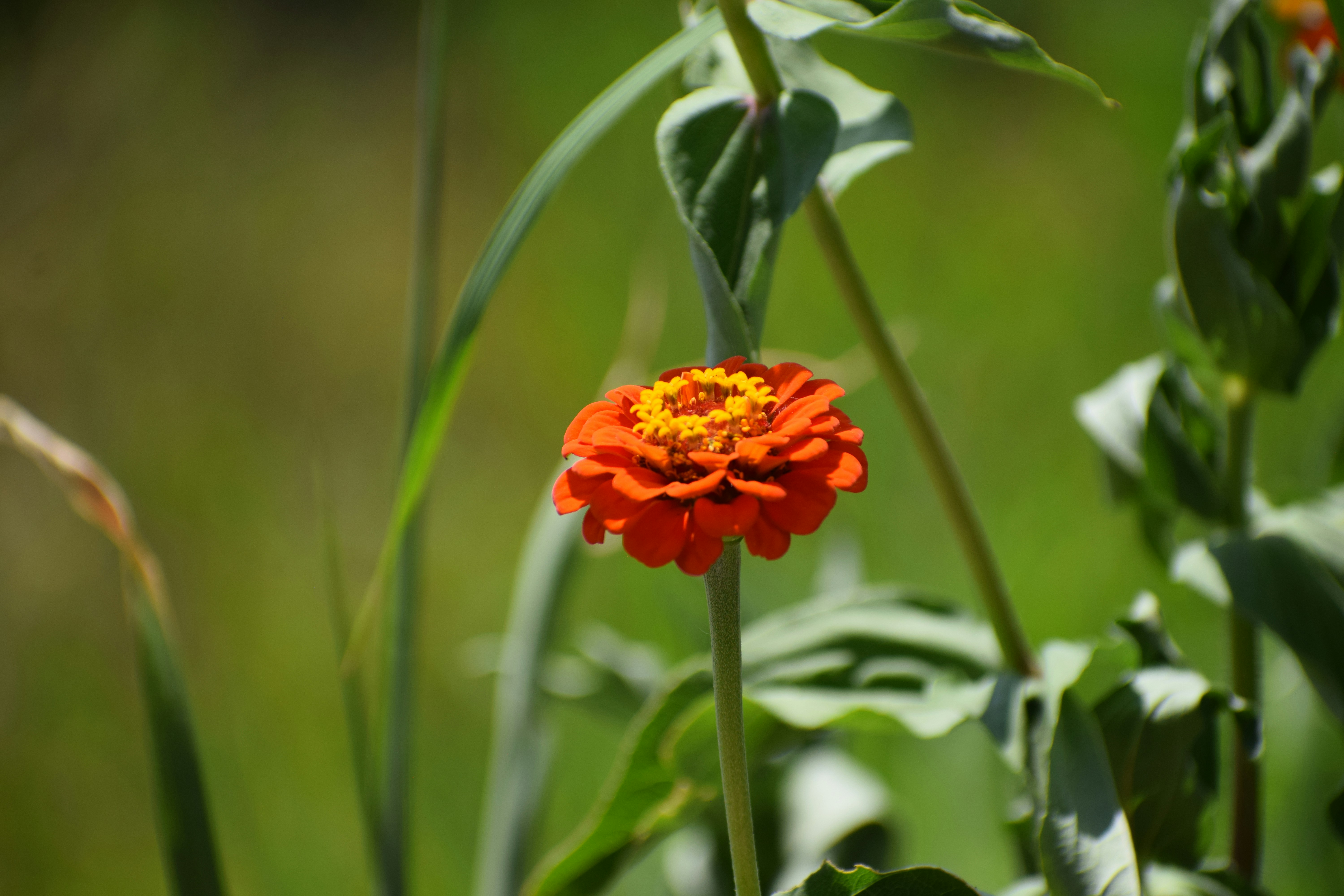 Photo by filming_co2022