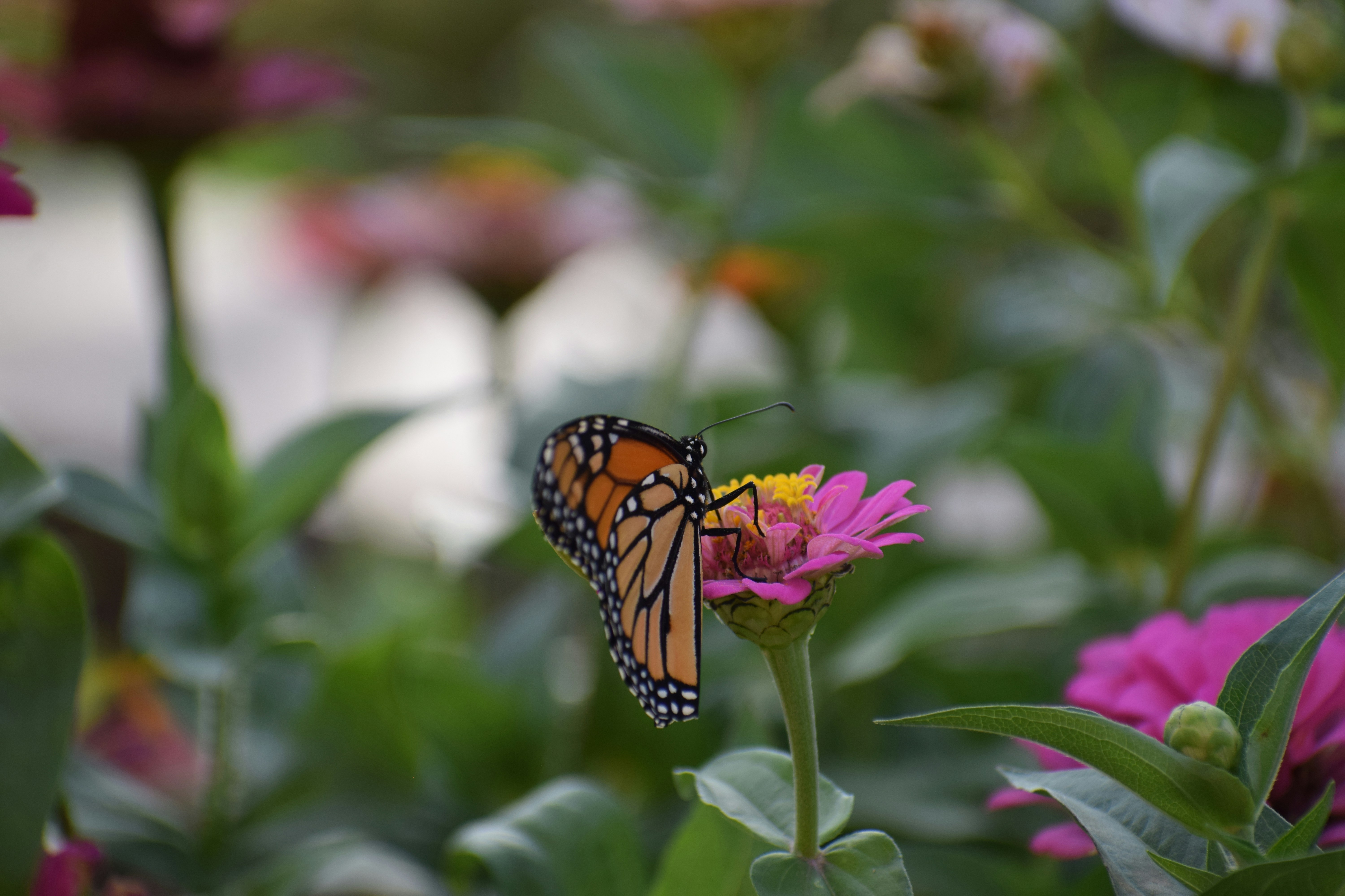 Photo by filming_co2022