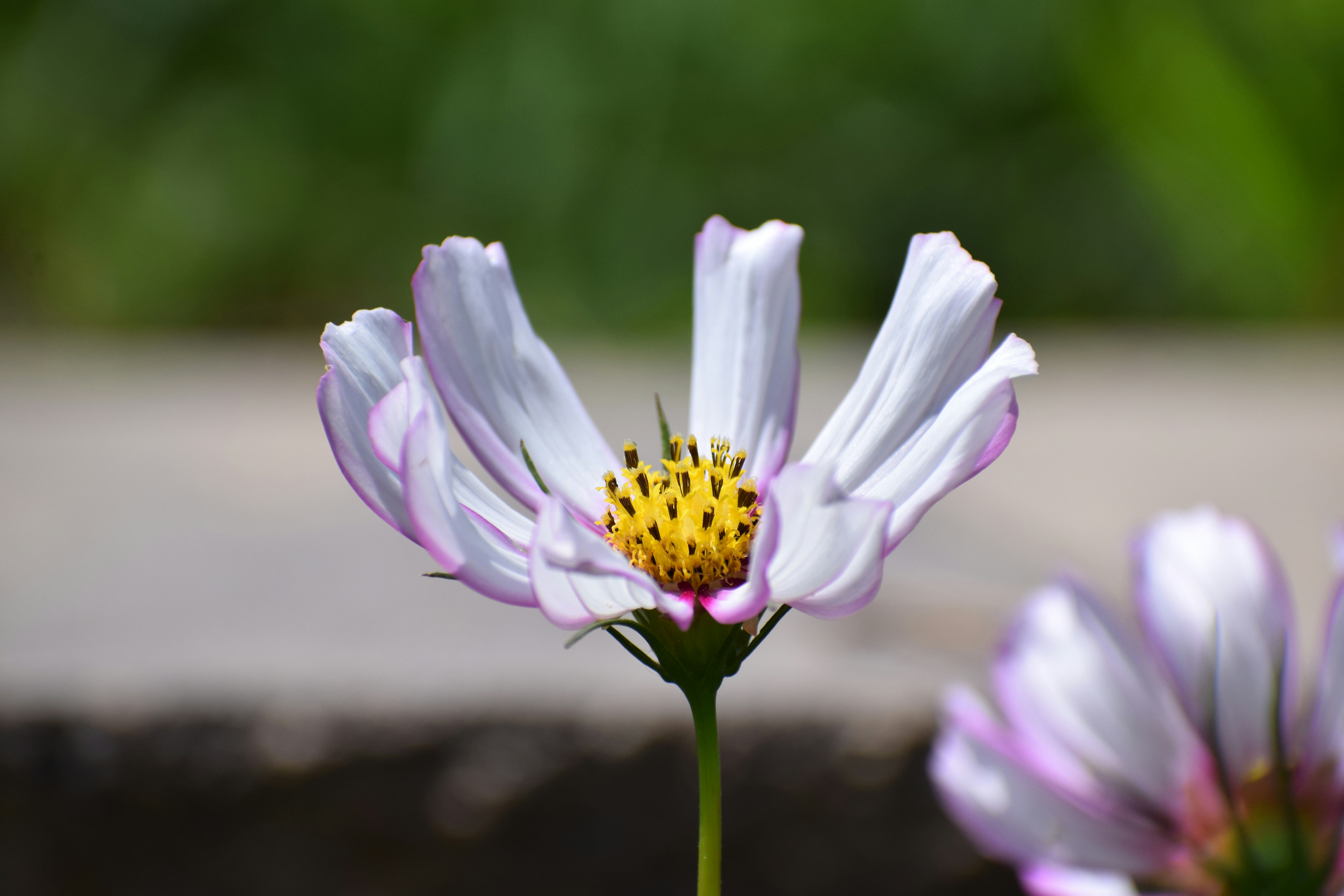 Photo by filming_co2022