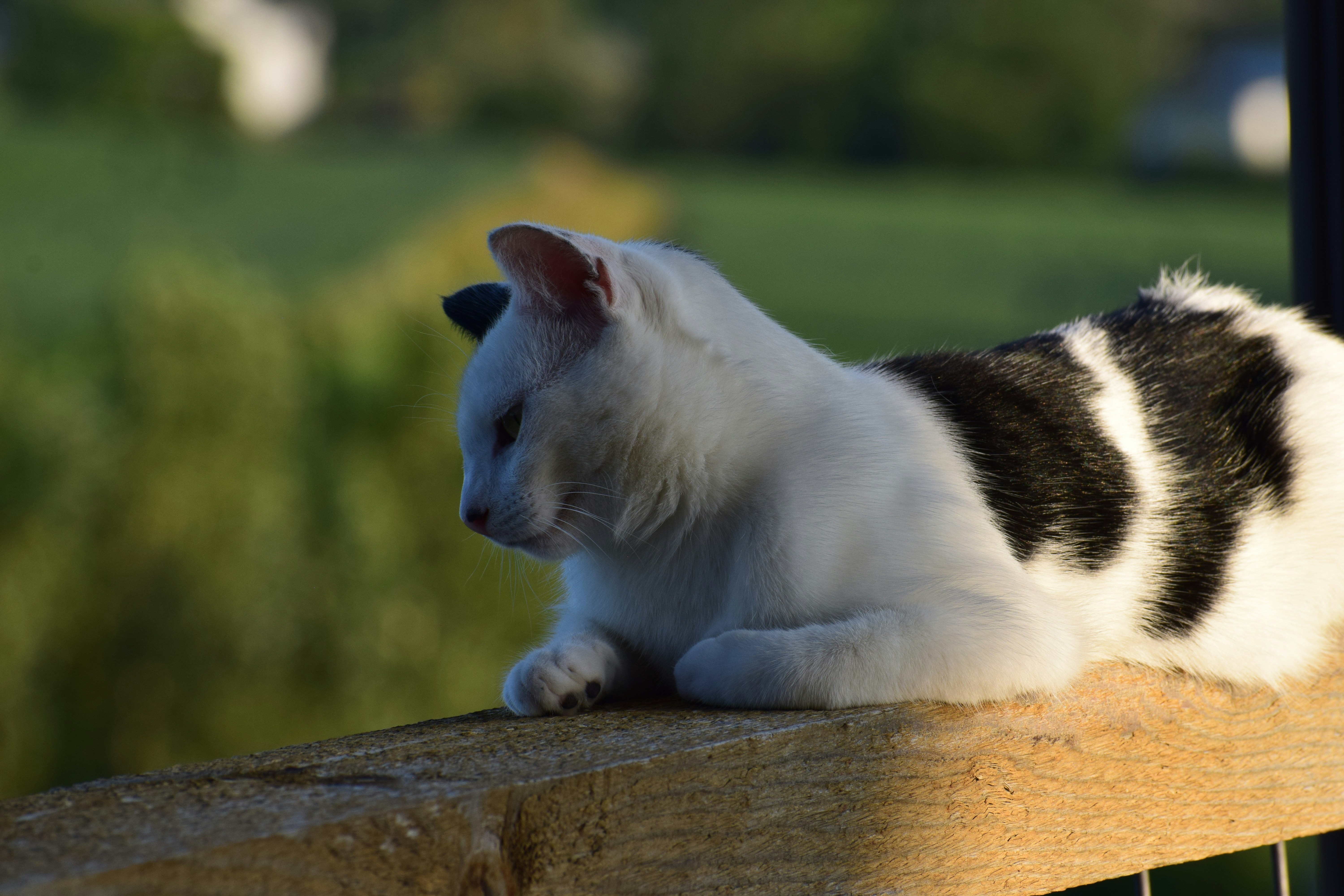 Photo by filming_co2022