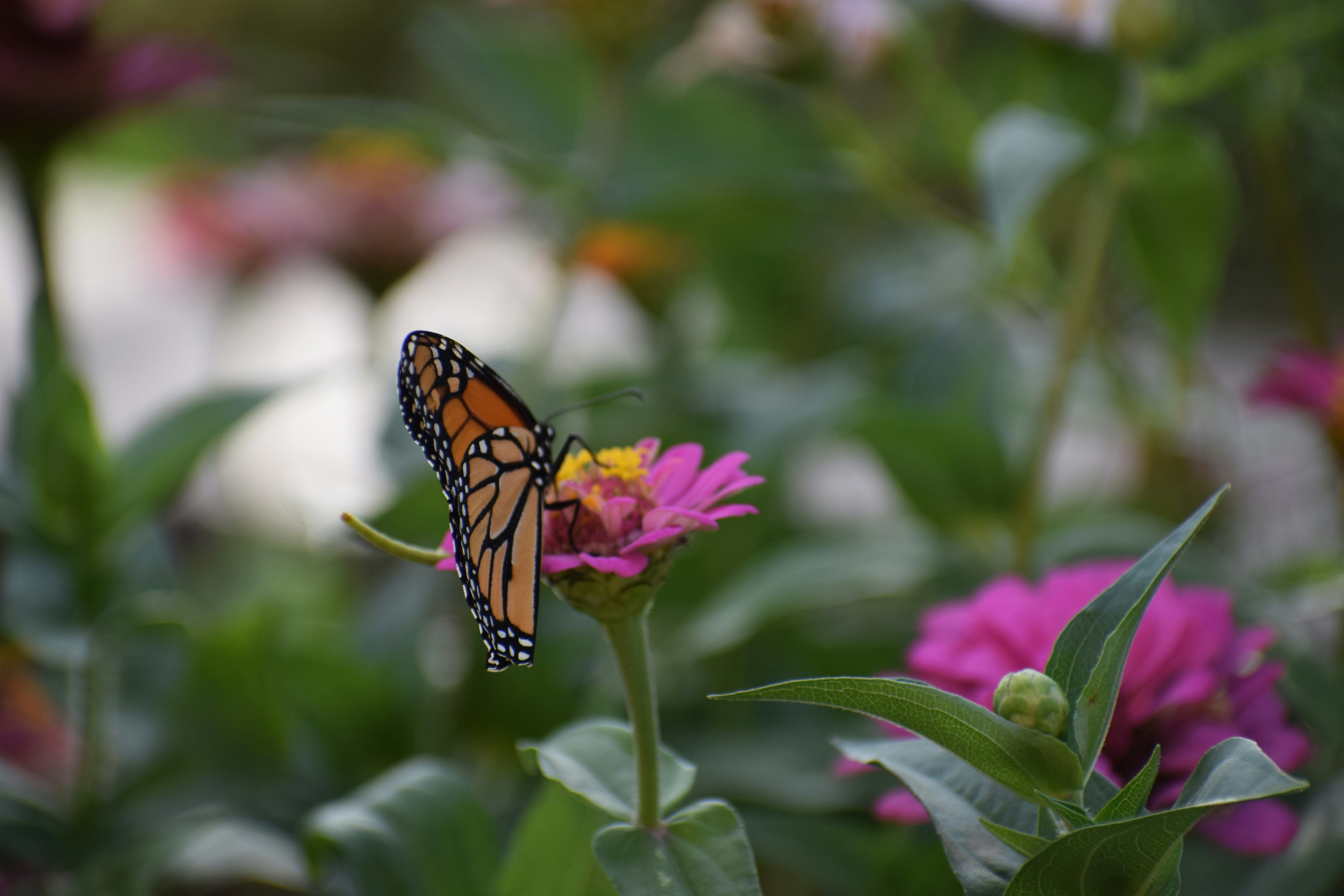 Photo by filming_co2022