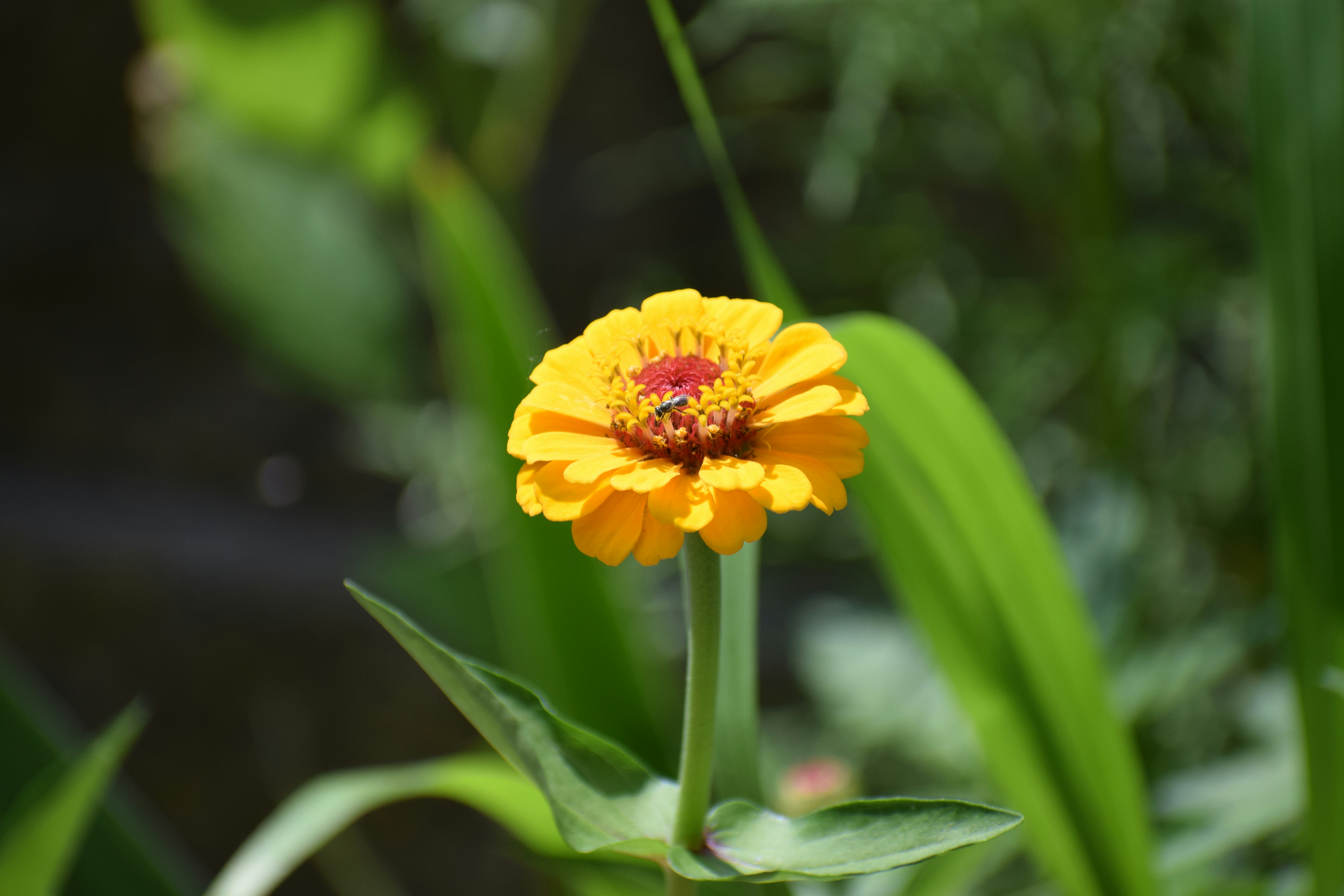 Photo by filming_co2022