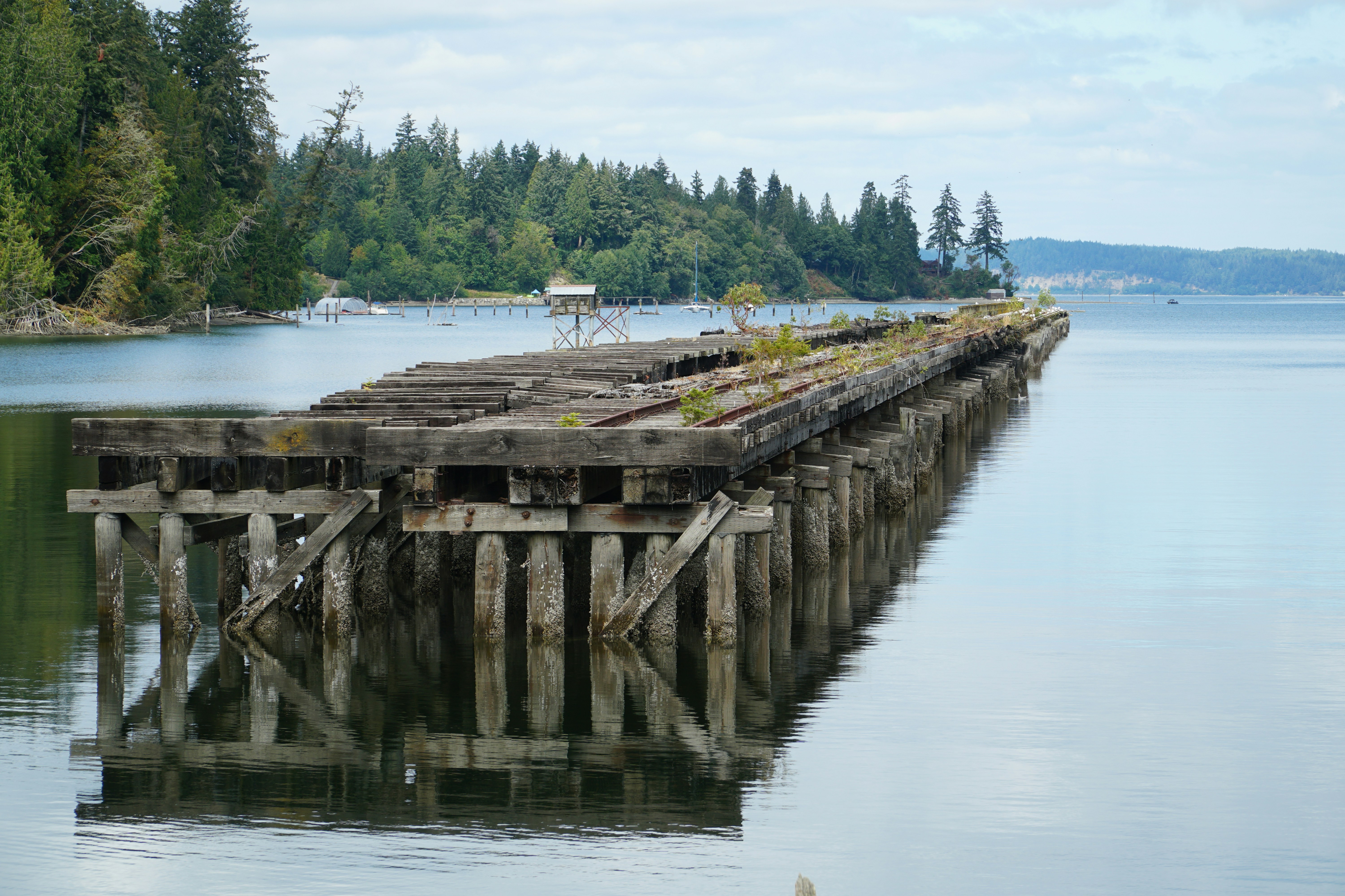 Uma doca de madeira sentada no meio de um lago