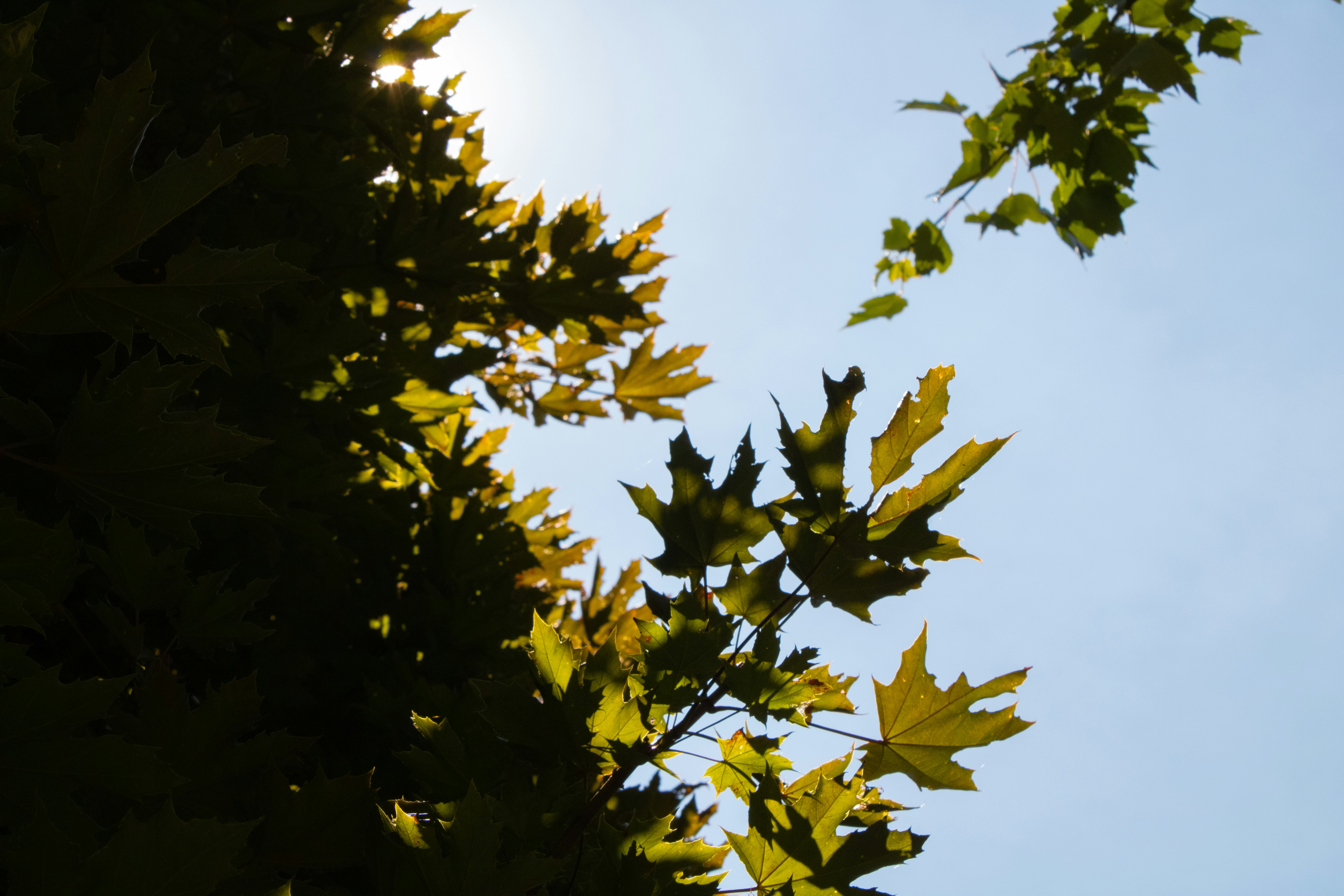 Photo by ghuffmanphotography