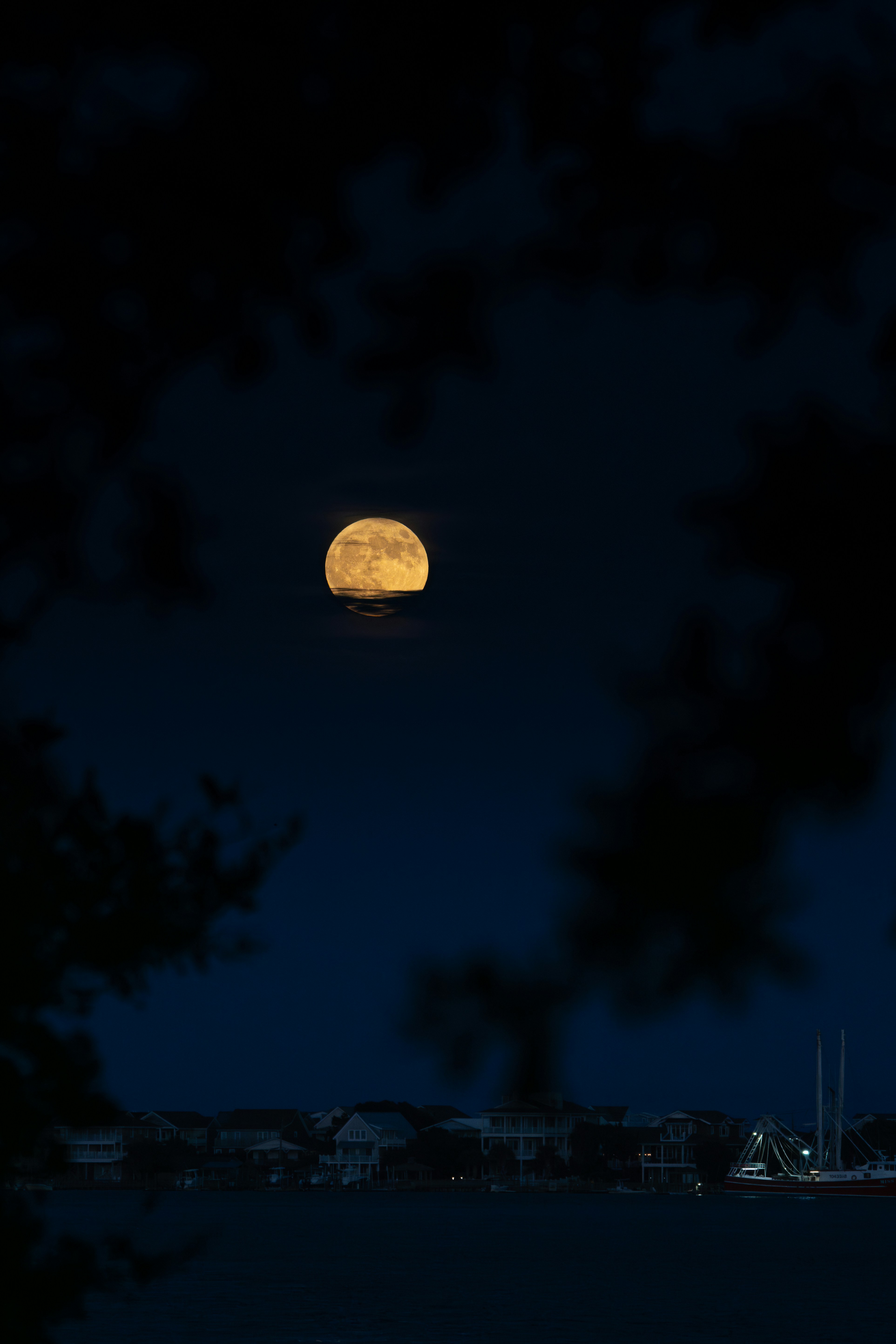 Photo by mike2244