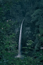 A large waterfall in the middle of a forest