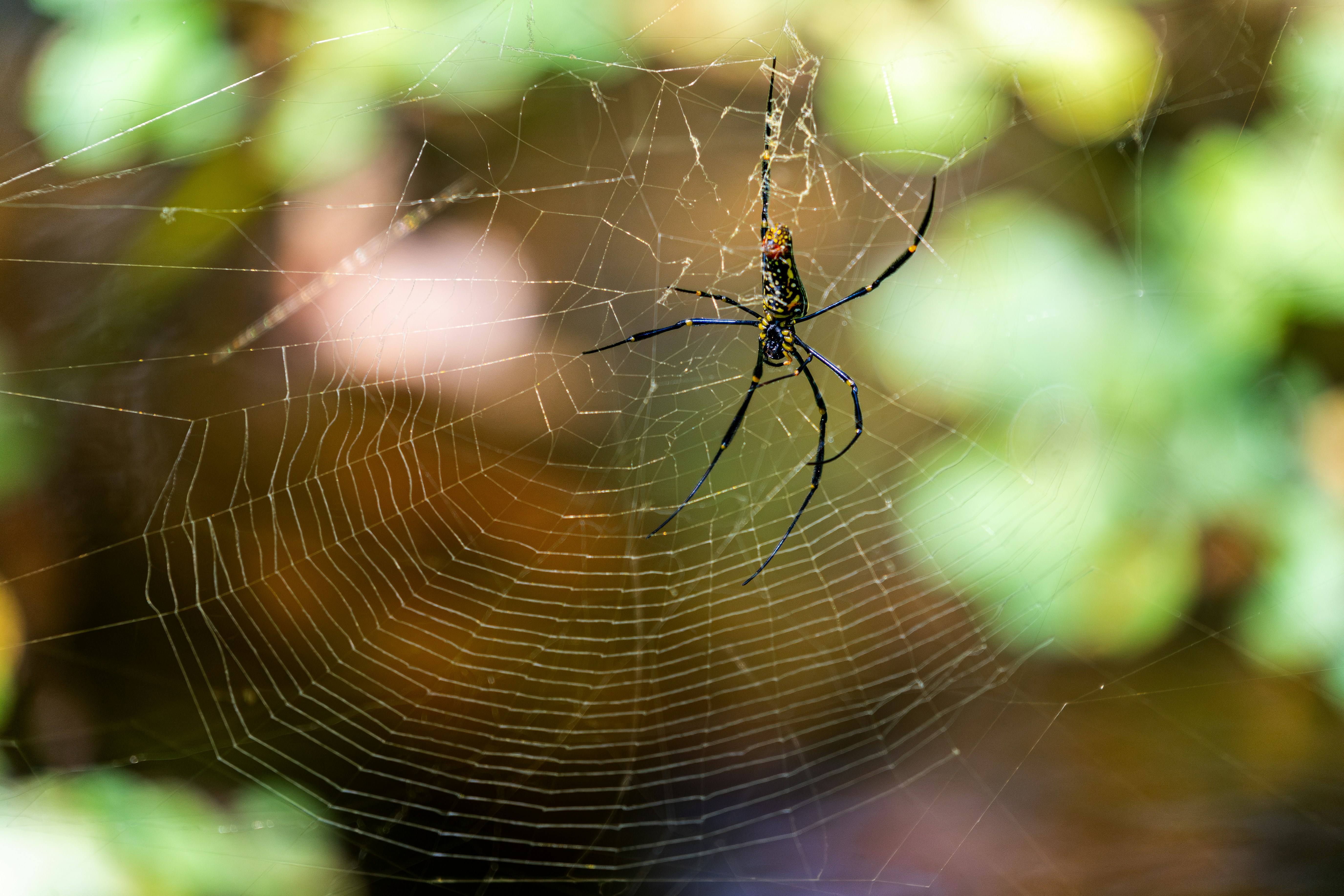 photo-1726623371529-f792e441e4ab?ixid=M3wxMjA3fDB8MXxzZWFyY2h8M3x8JUU3JThGJUJFJUU1JUEwJUI0JUU2JTgwJUE3JUU2JTg0JTlCJUU4JUExJUE4JUU2JUJDJTk0JUU3JUI2JUIyJUU3JUFCJTk5fGVufDB8fHx8MTczMjcyNjUzNHww\u0026ixlib=rb-4.0.3