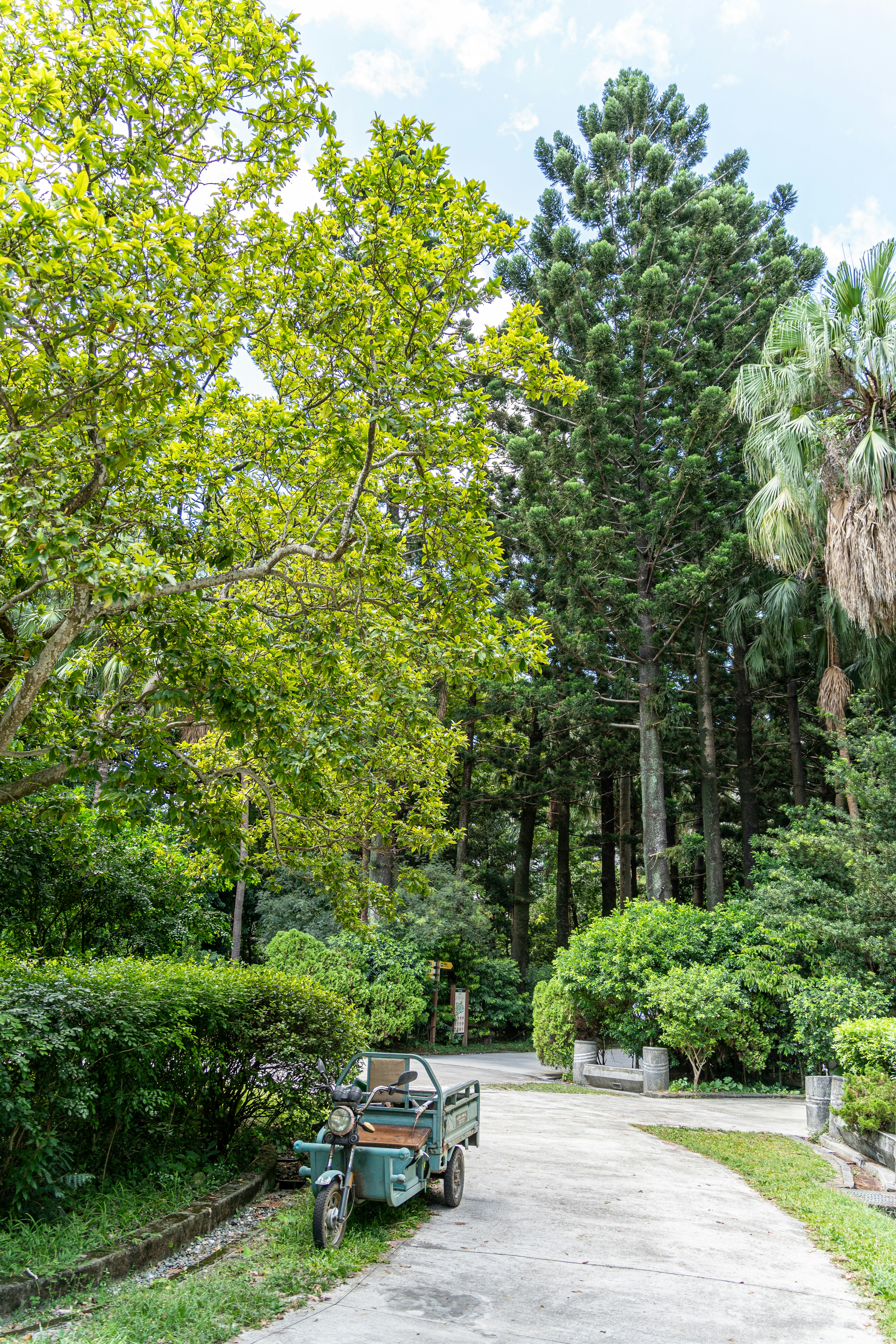 Photo by winstonchen