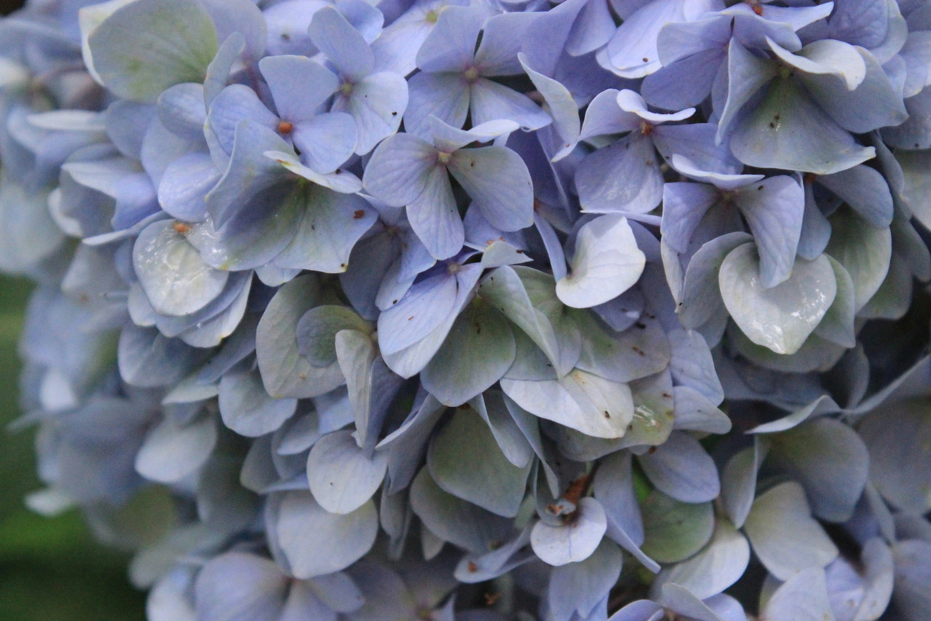 Photo by viewsofthecamera