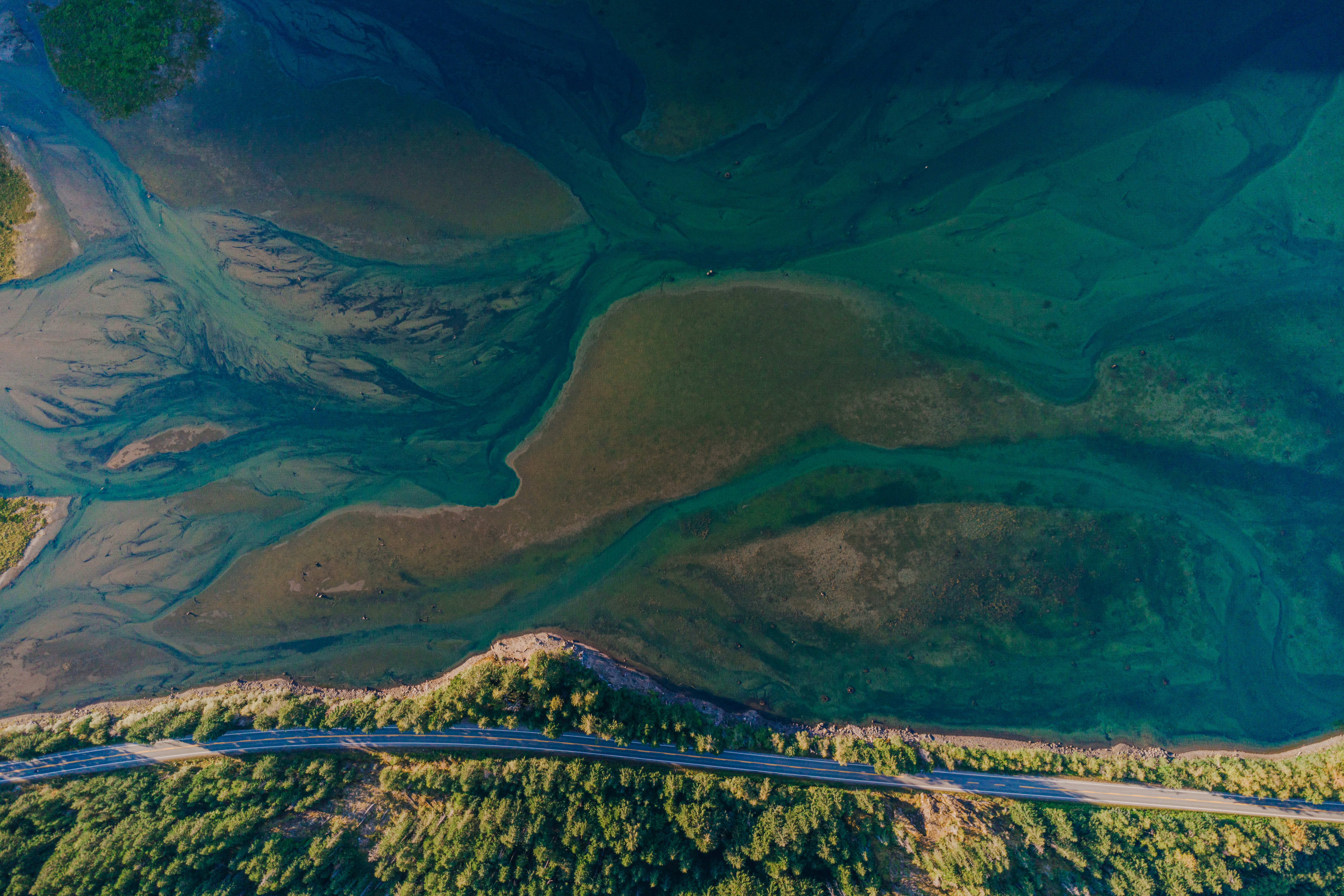 Photo by tatarbunarin