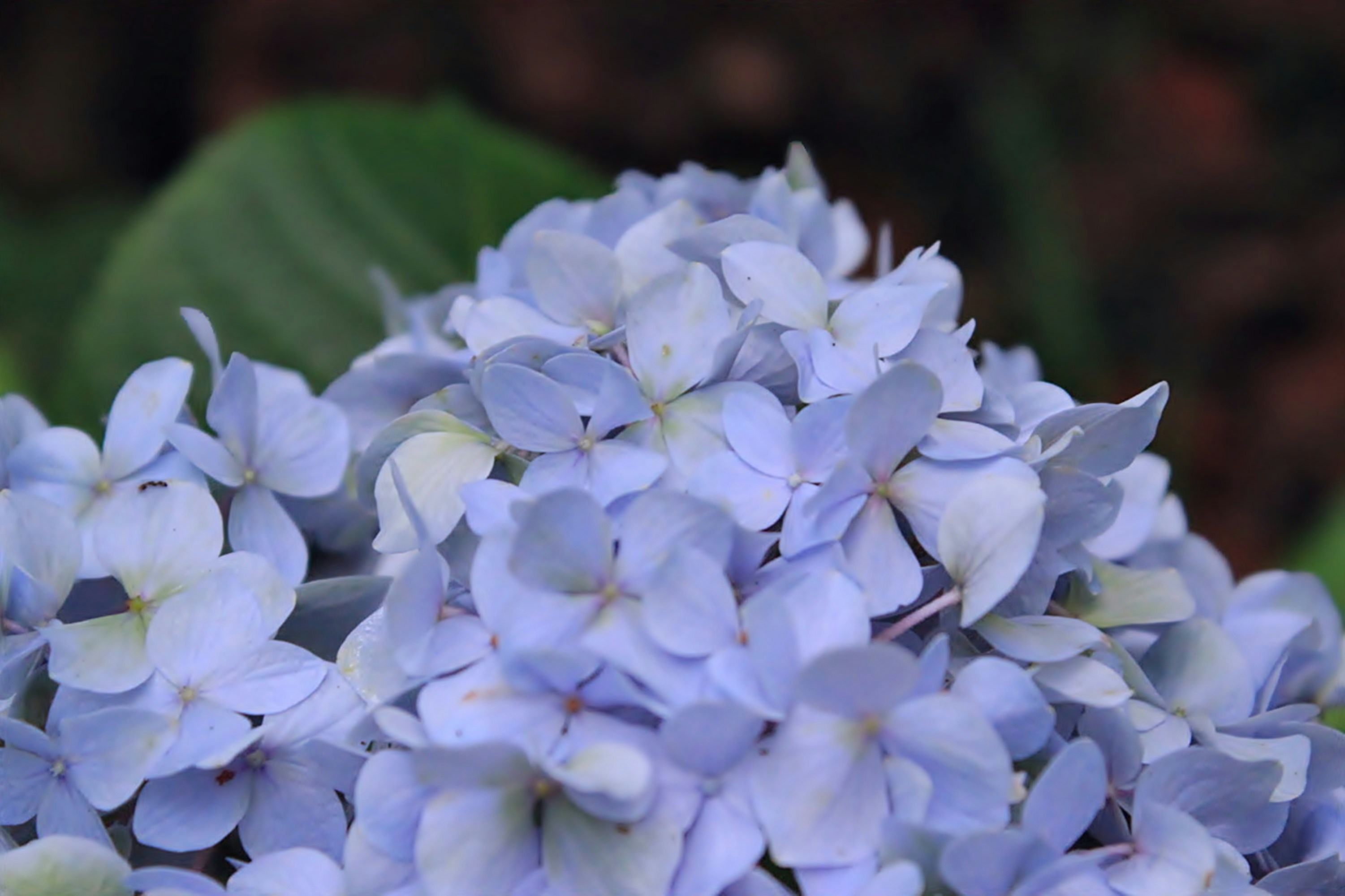 Photo by viewsofthecamera