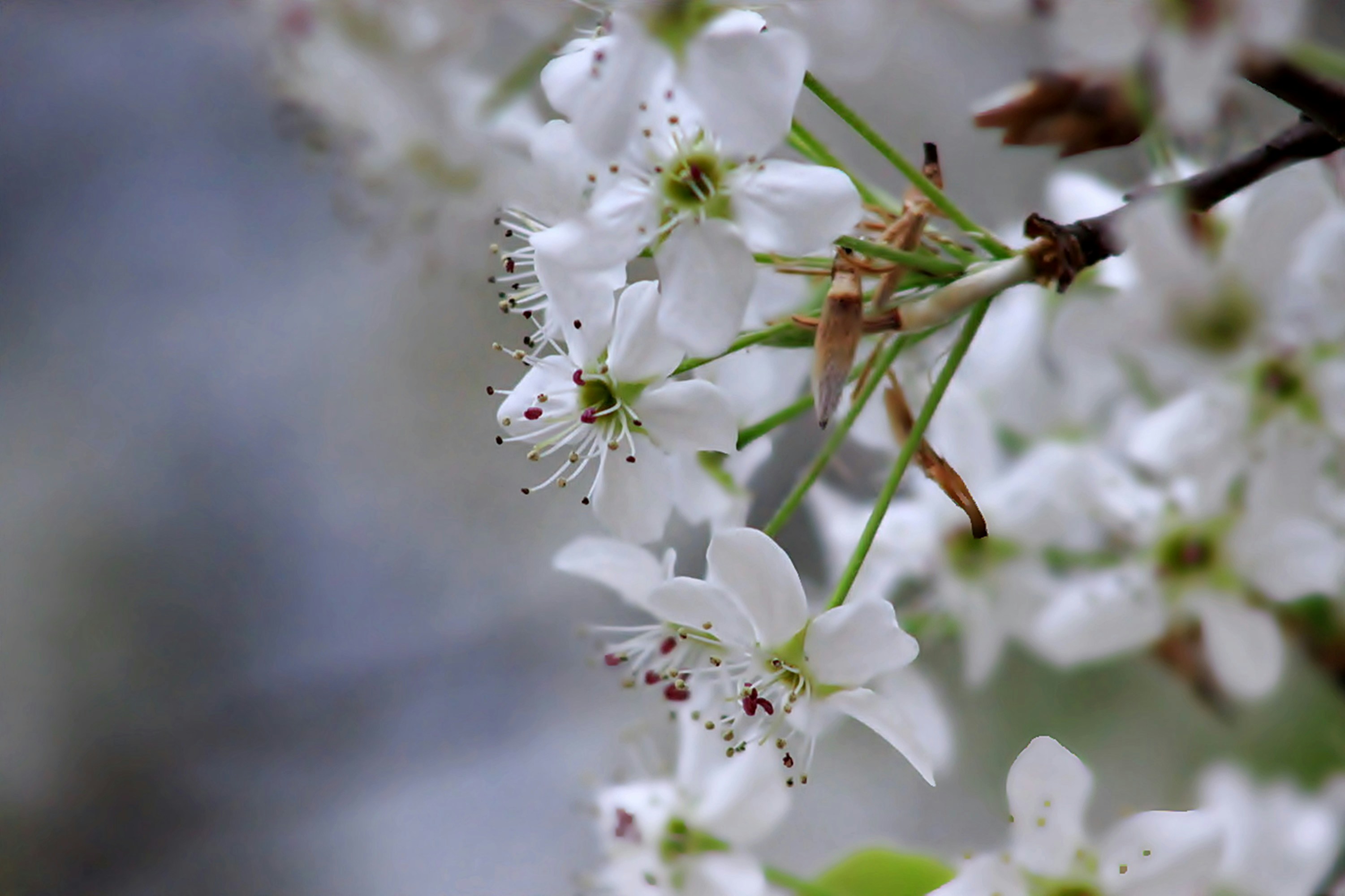 Photo by viewsofthecamera