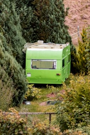 A green van is parked in the bushes