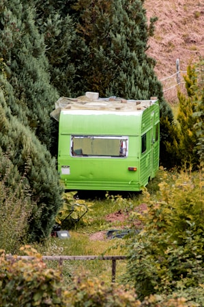 A green van is parked in the bushes
