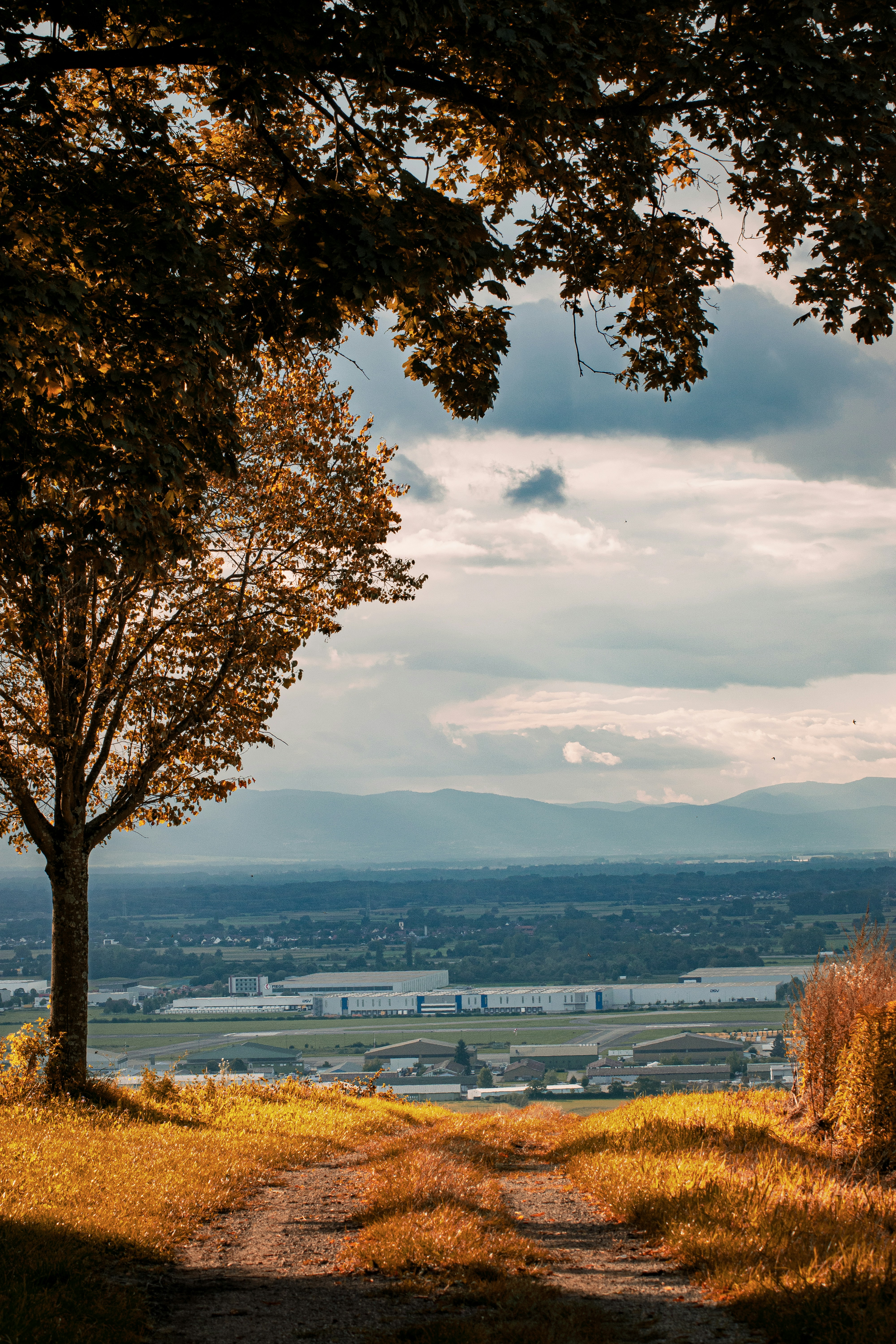 Photo by fabrice_fotografie