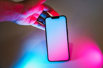 A person holding a cell phone in their hand