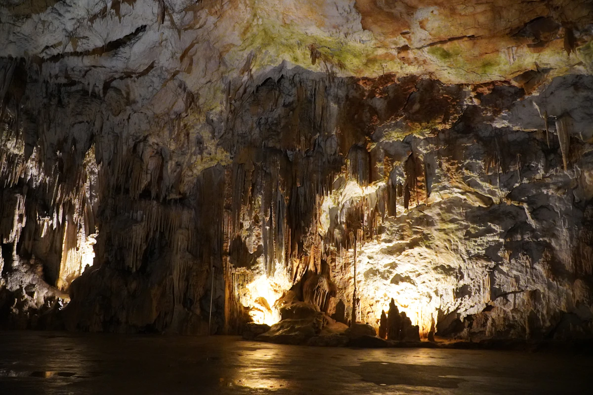 Grottes de Postojna