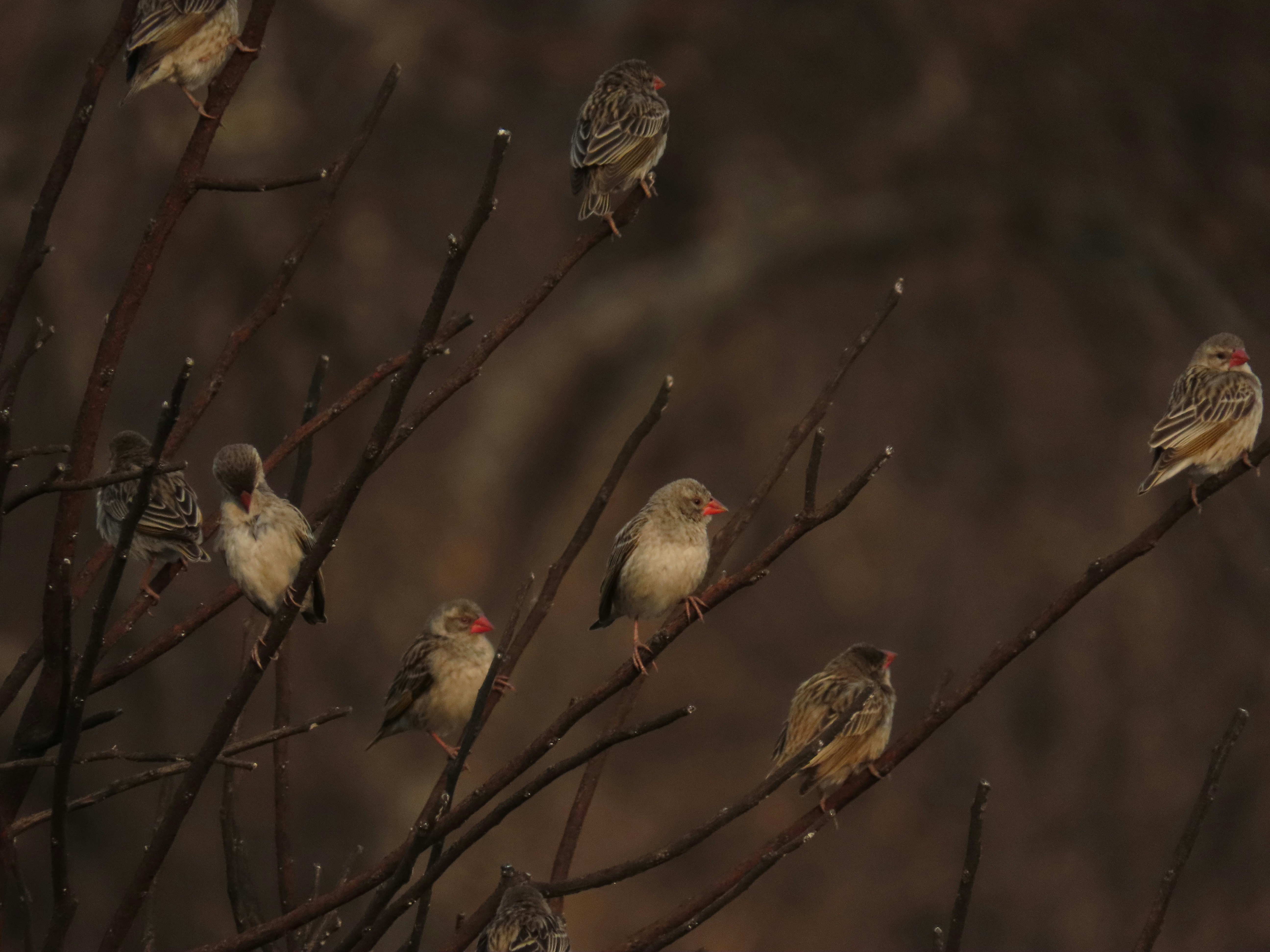 Photo by ja_photography