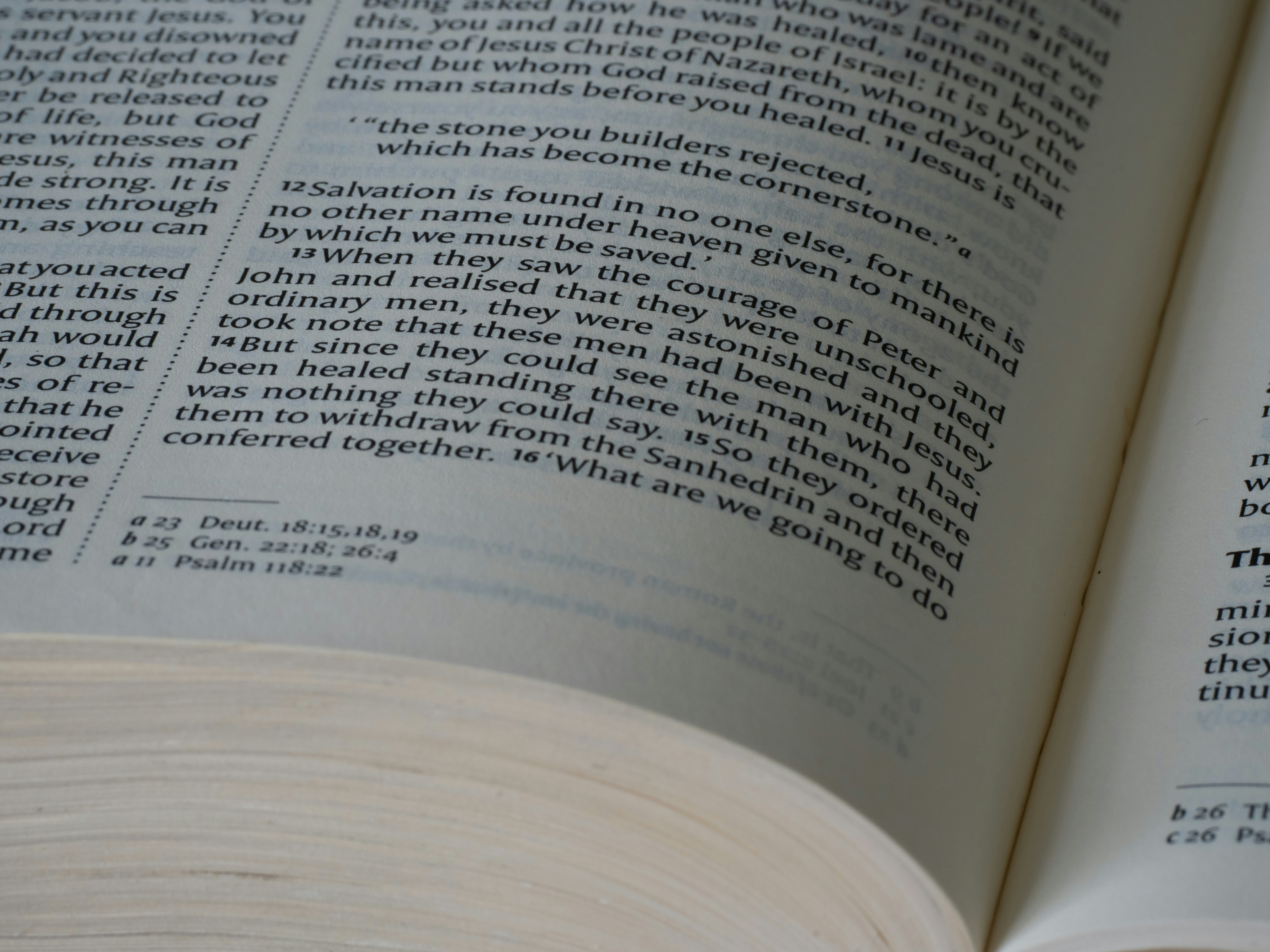 Photo by brett_jordan